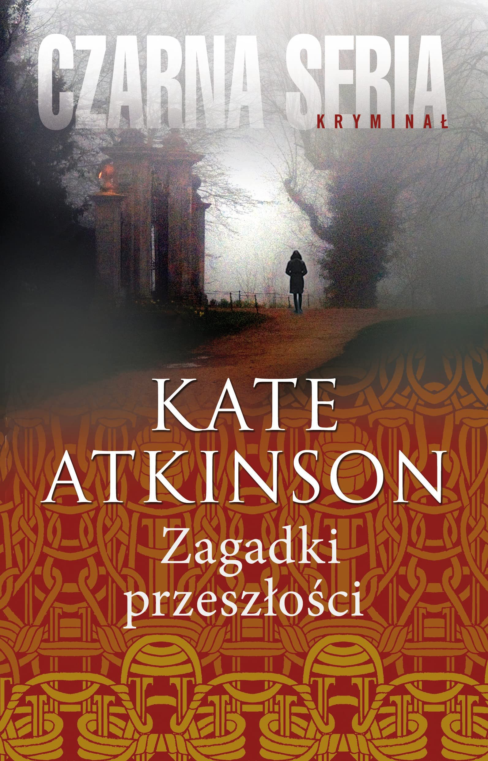 Zagadki przeszlosci Contemporary literature Books