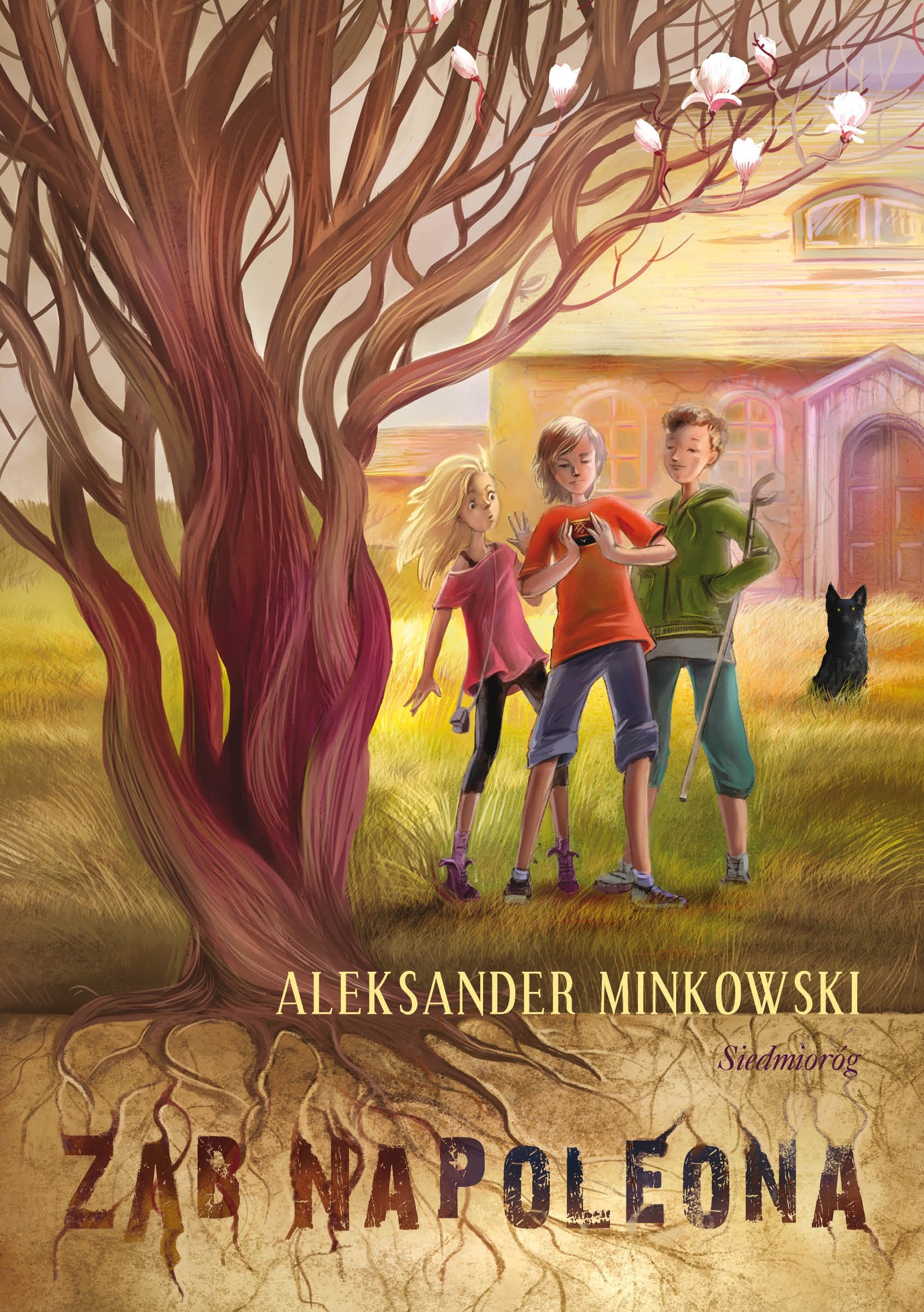 Zab Napoleona Novels & Short Stories for children
