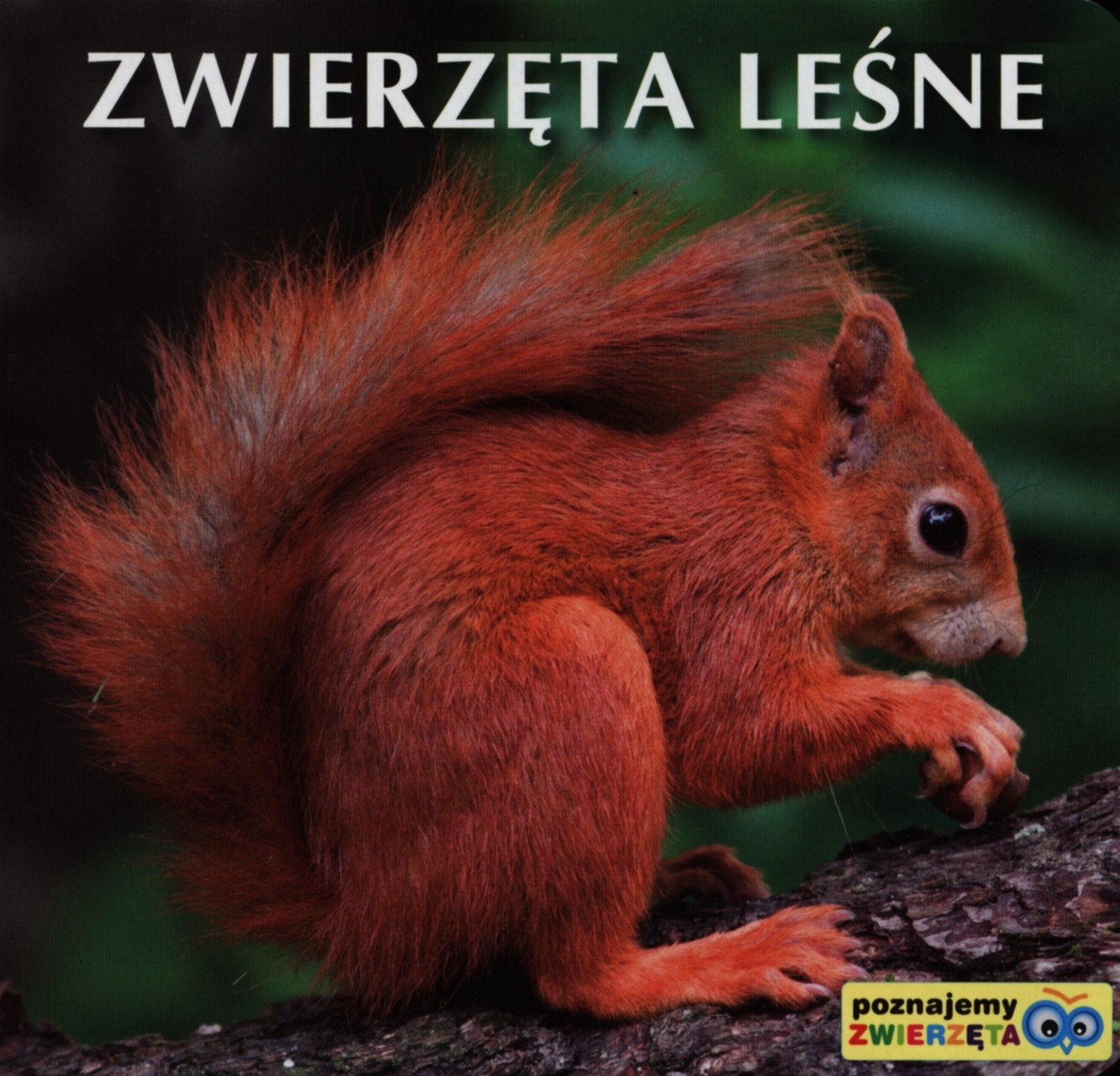 Zwierzeta lesne Books