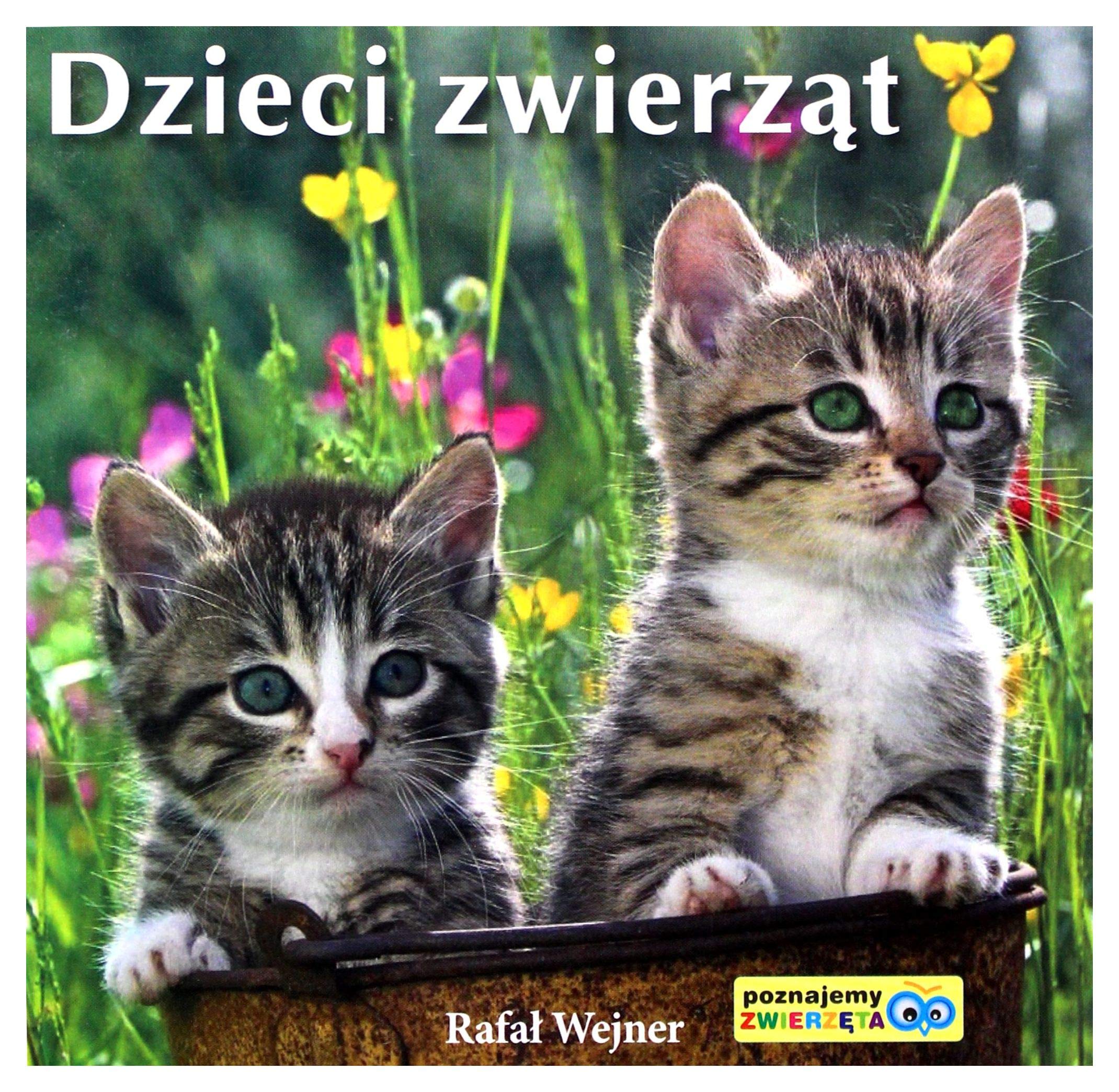 Dzieci zwierząt Poznajemy zwierzęta Books