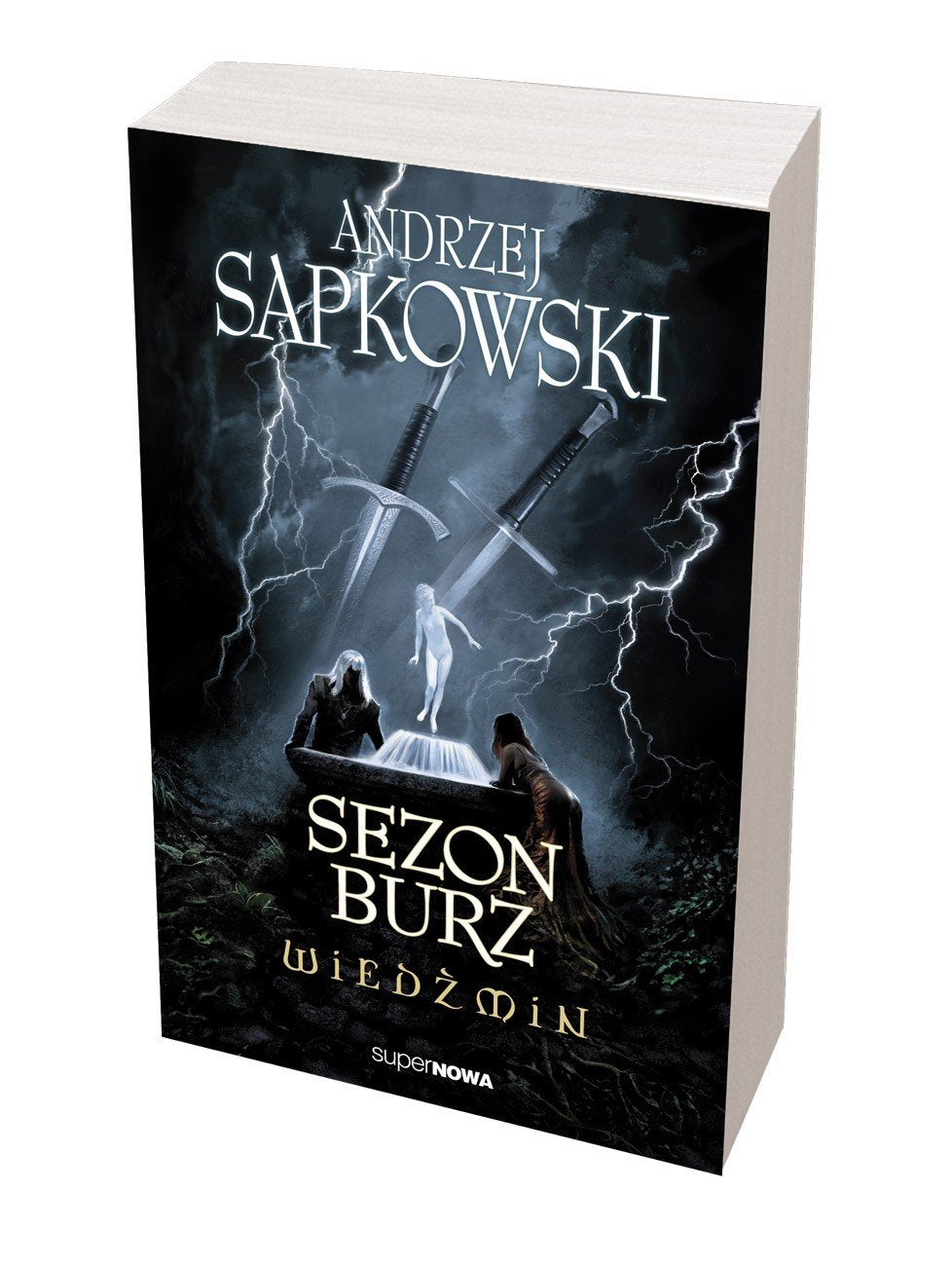 Sezon burz Wiedzmin Contemporary literature