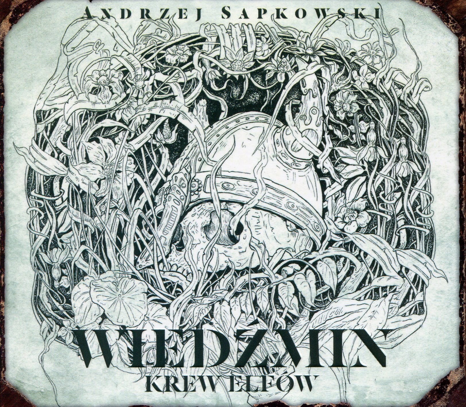 Krew elfow Saga o Wiedzminie Tom 1 Contemporary literature
