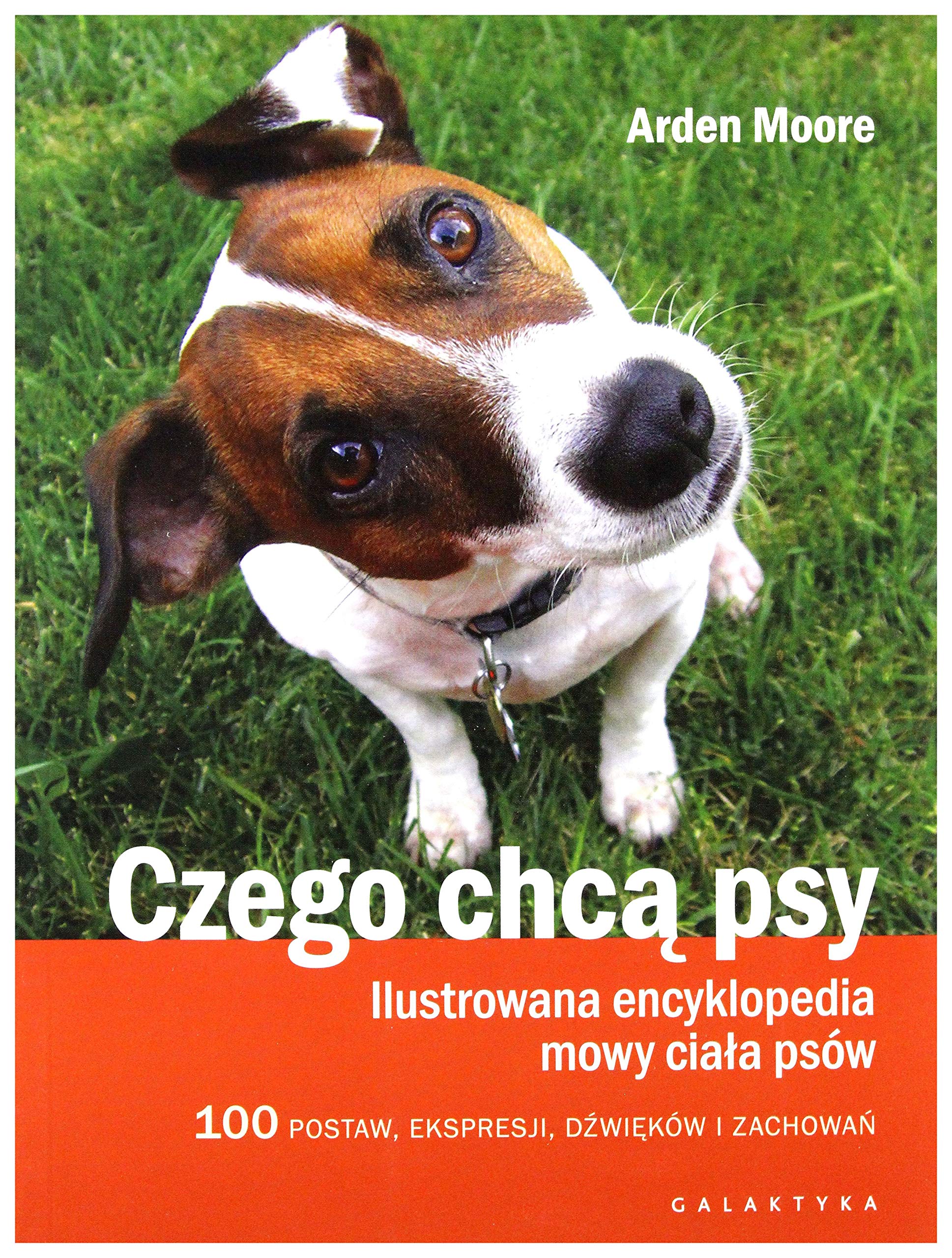 Czego chca psy Pets