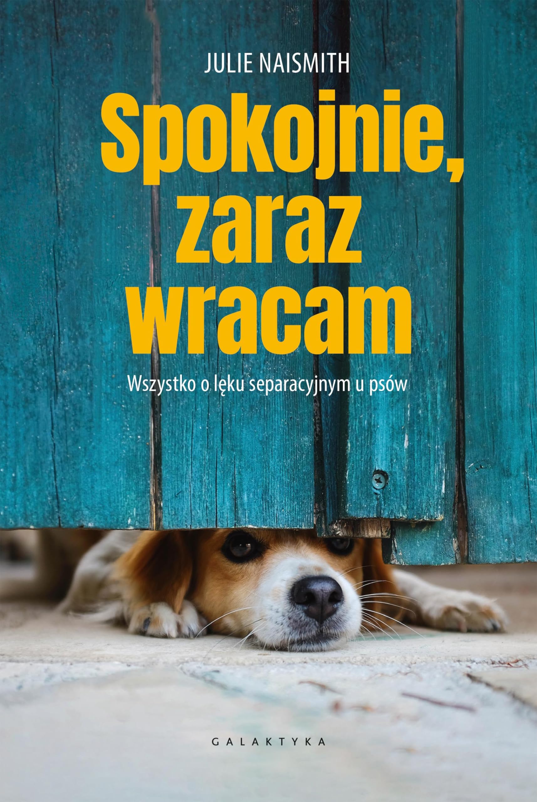 Spokojnie, zaraz wracam: Wszystko o lęku separacyjnym u psów Books