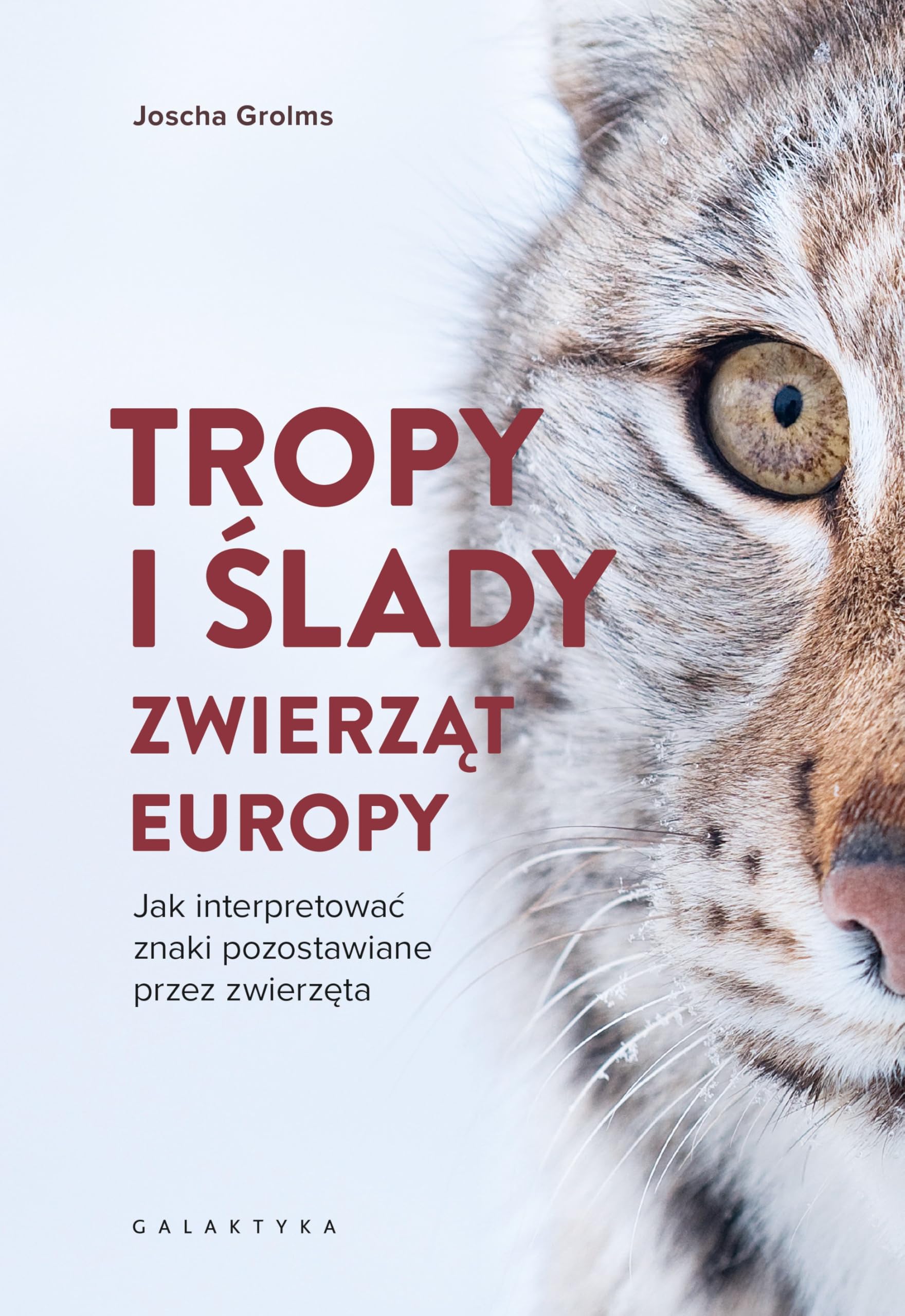 Tropy i ślady zwierząt Europy: Jak interpretować znaki pozostawiane przez zwierzęta Books