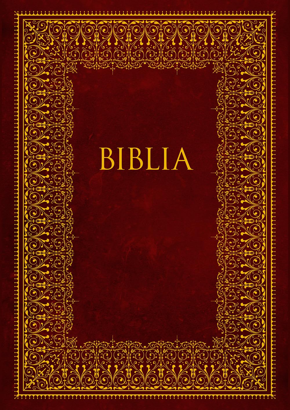 Biblia: Wydanie pamiątkowe z okazji Roku Wiary 2012/2013. Edycja limitowana Books