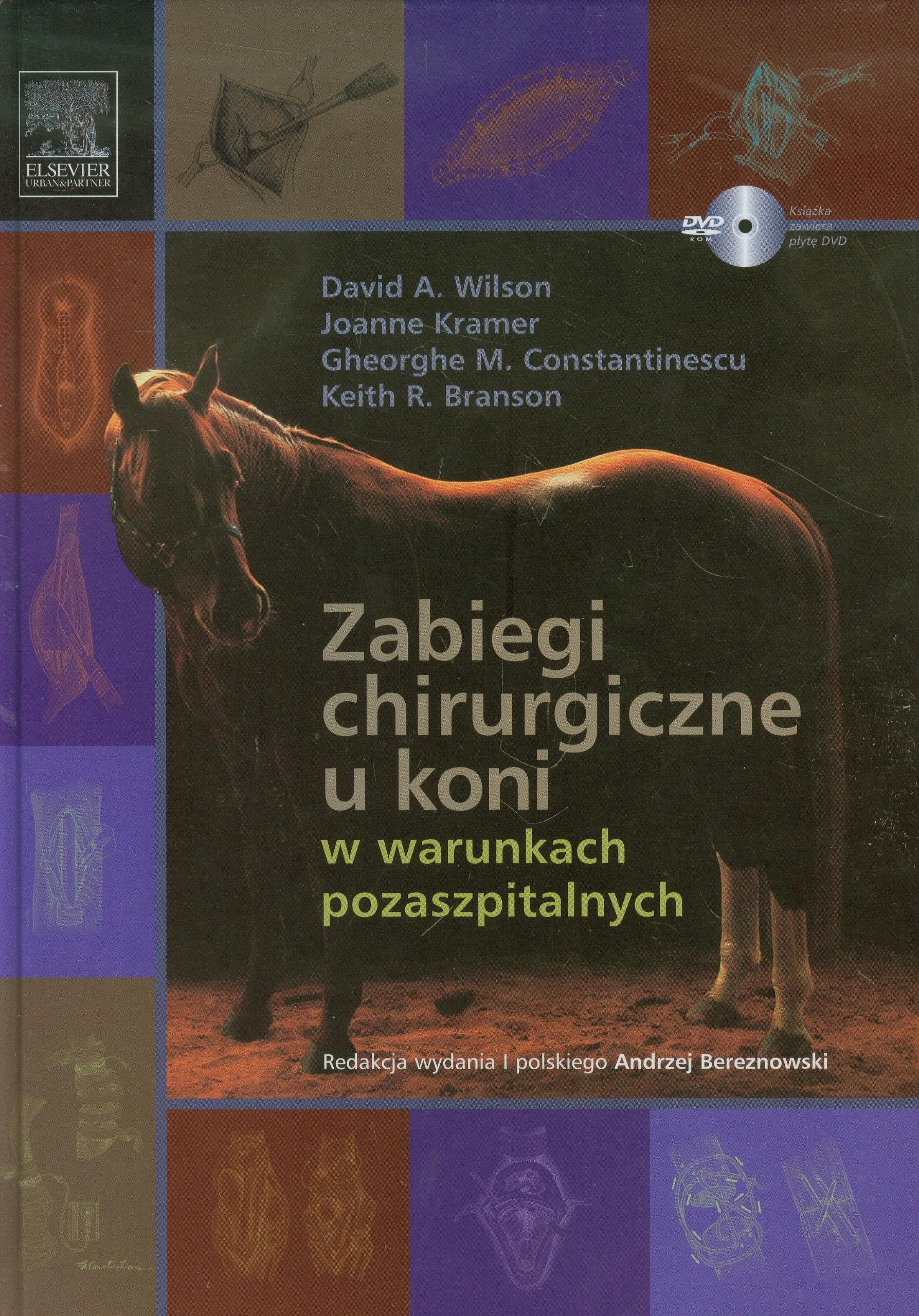 Zabiegi chirurgiczne u koni w warunkach pozaszpitalnych: Książka z płytą DVD-ROM Medicine
