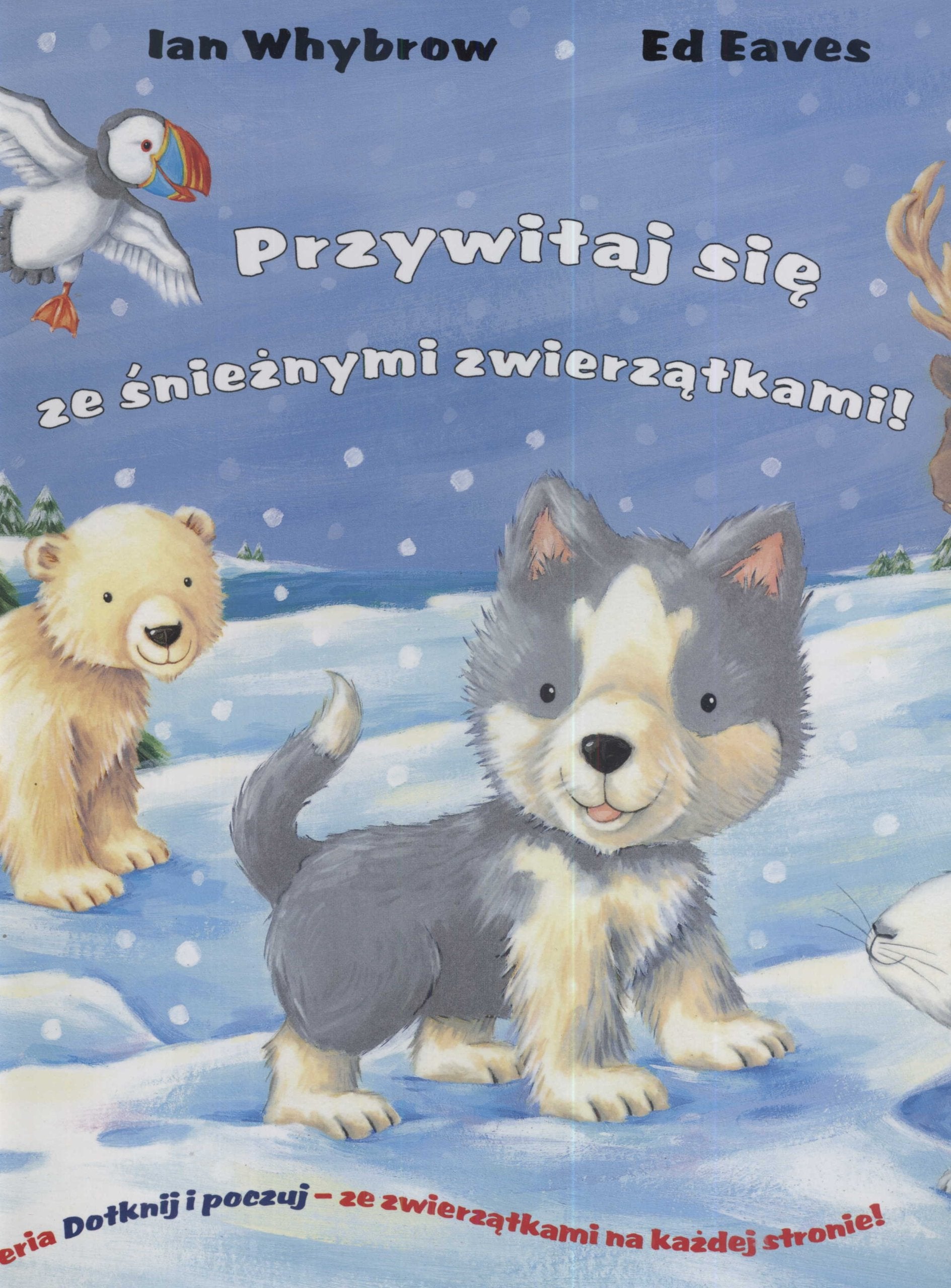 Przywitaj się ze śnieżnymi zwierzątkami (DOTKNIJ I POCZUJ) Books
