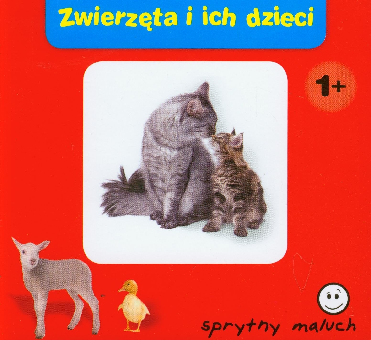 Sprytny maluch Zwierzęta i ich dzieci: 1+ Books