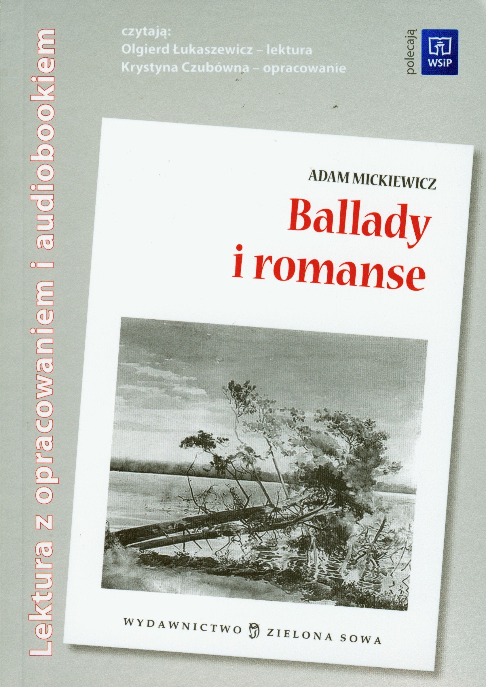 Ballady i romanse Audiobook i opracowanie (LEKTURA Z OPRACOWANIEM I AUDIOBOOKIEM) Books