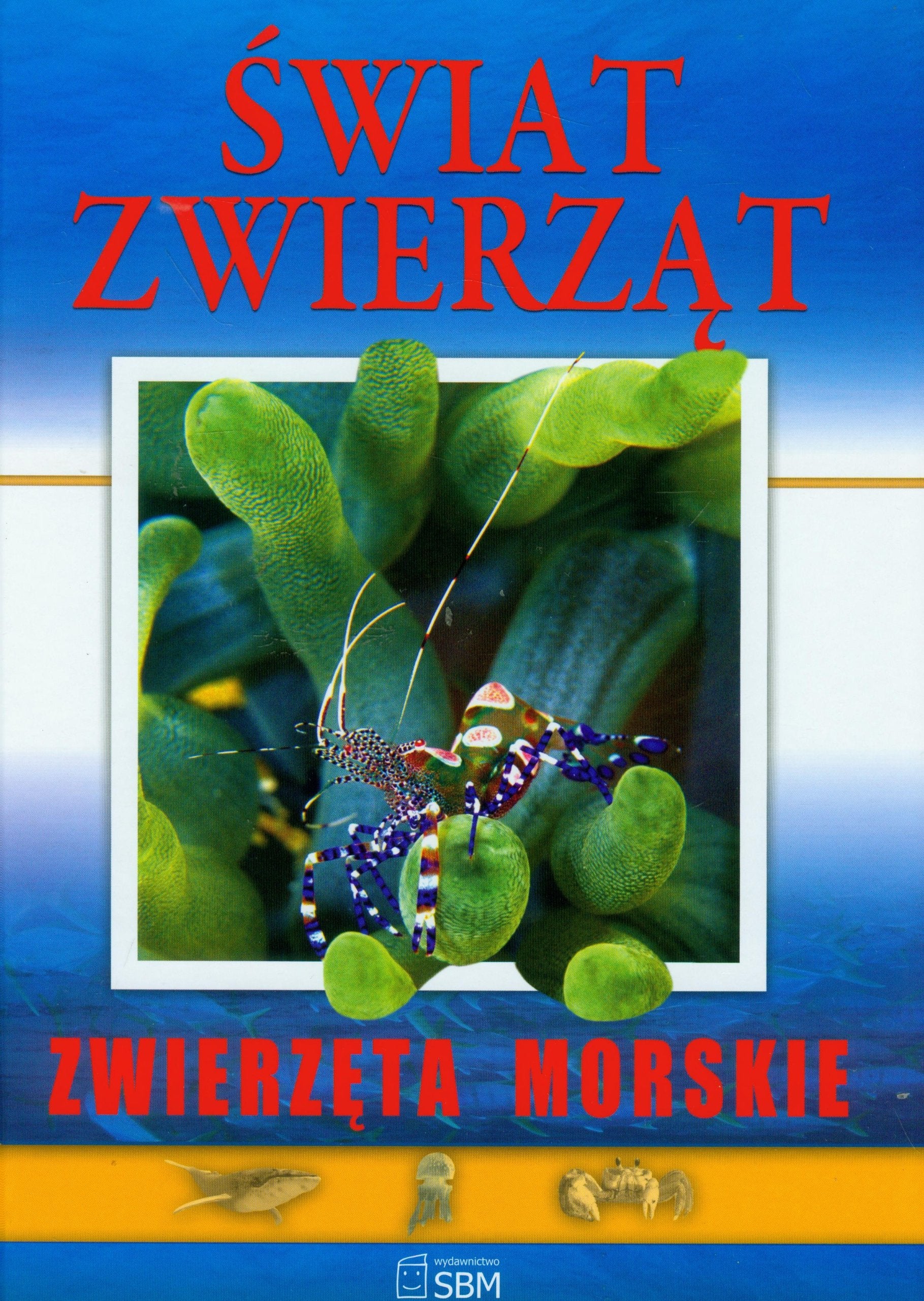 Świat zwierząt Zwierzęta morskie Books