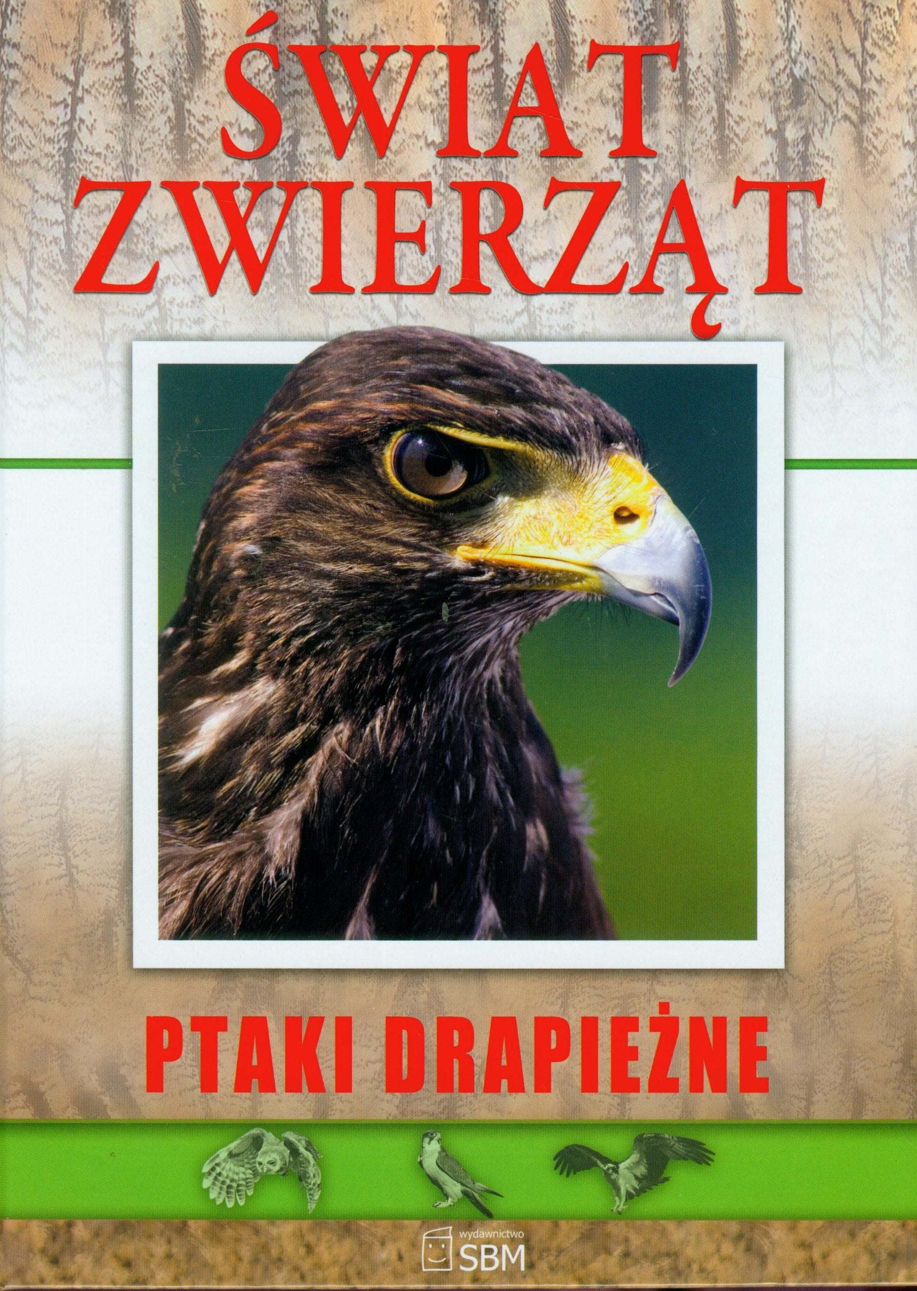 Świat zwierząt Ptaki drapieżne Books