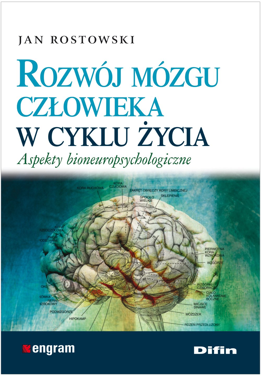 Rozwój mózgu człowieka w cyklu życia: Aspekty bioneuropsychologiczne Books