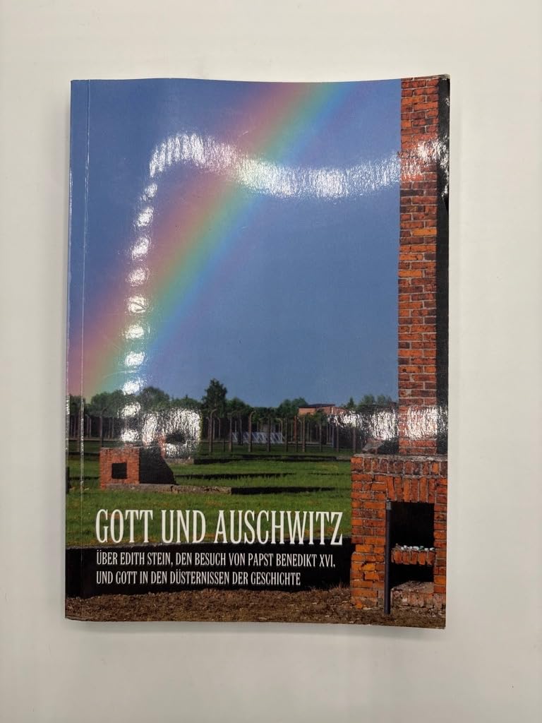 Gott und Auschwitz. Über Edith Stein, den Besuch von Papst Benedikt XVI. und Gott in den Düsternissen der Geschichte Books
