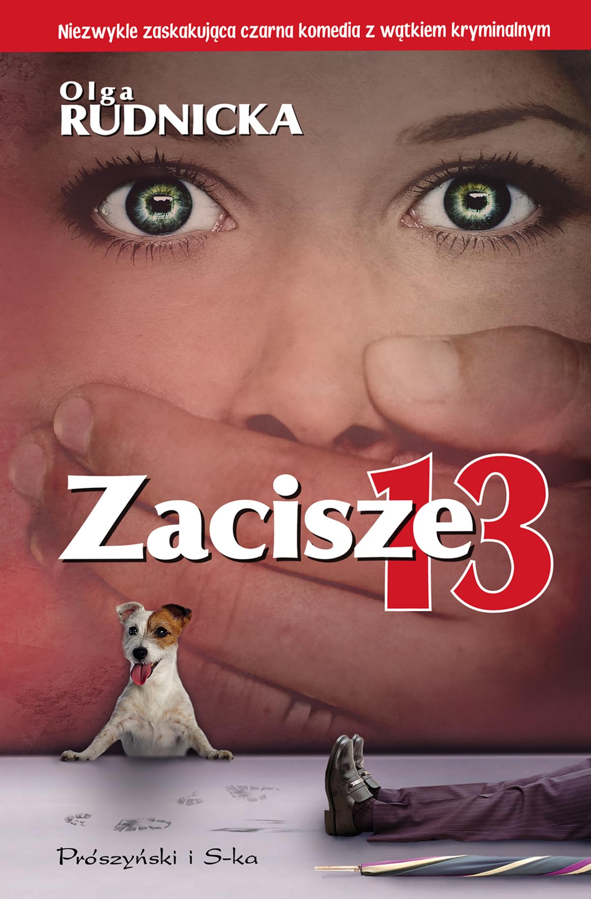Zacisze 13 book