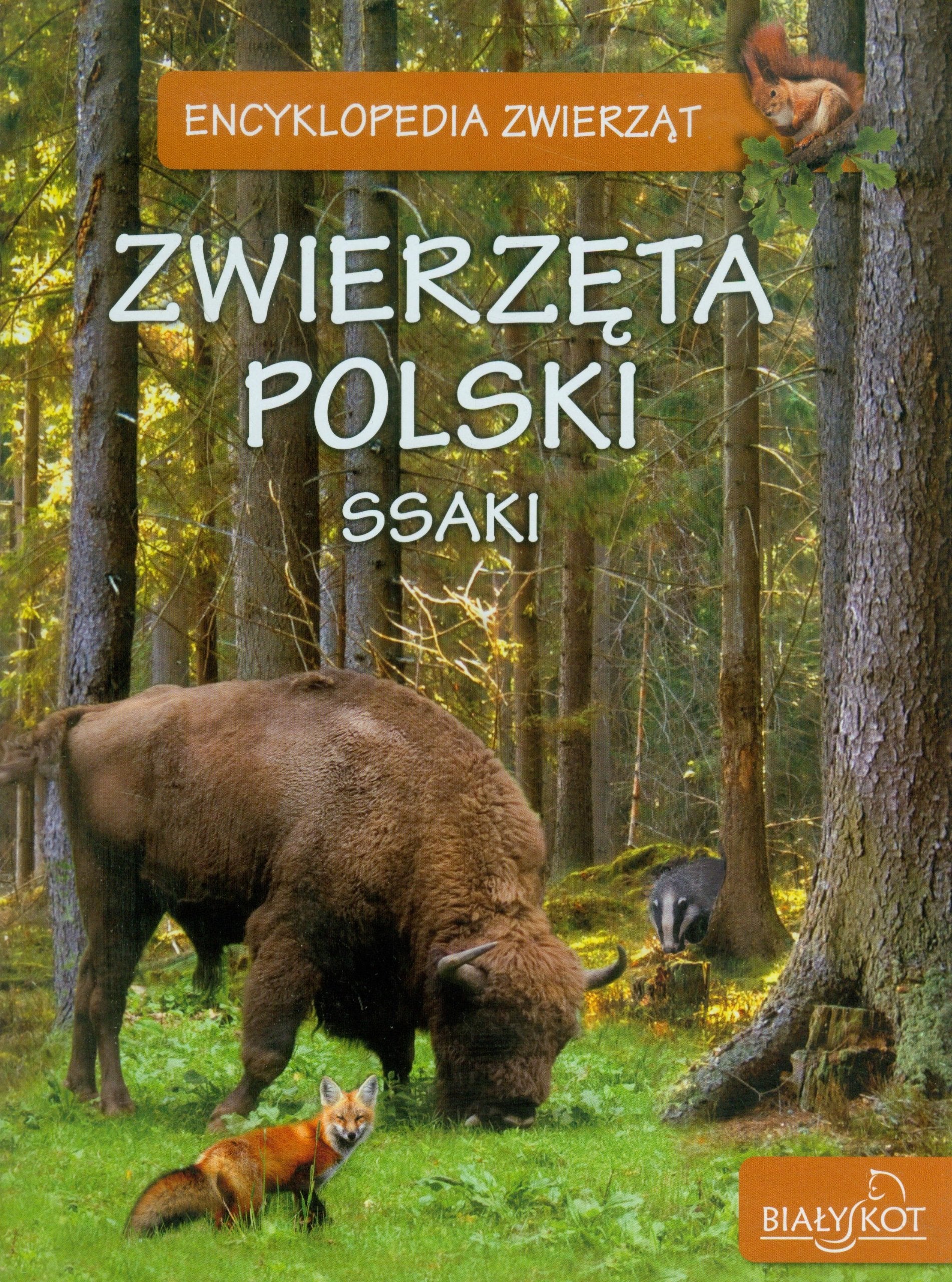 Zwierzeta Polski: Ssaki (ENCYKLOPEDIA ZWIERZĄT) Natural Sciences