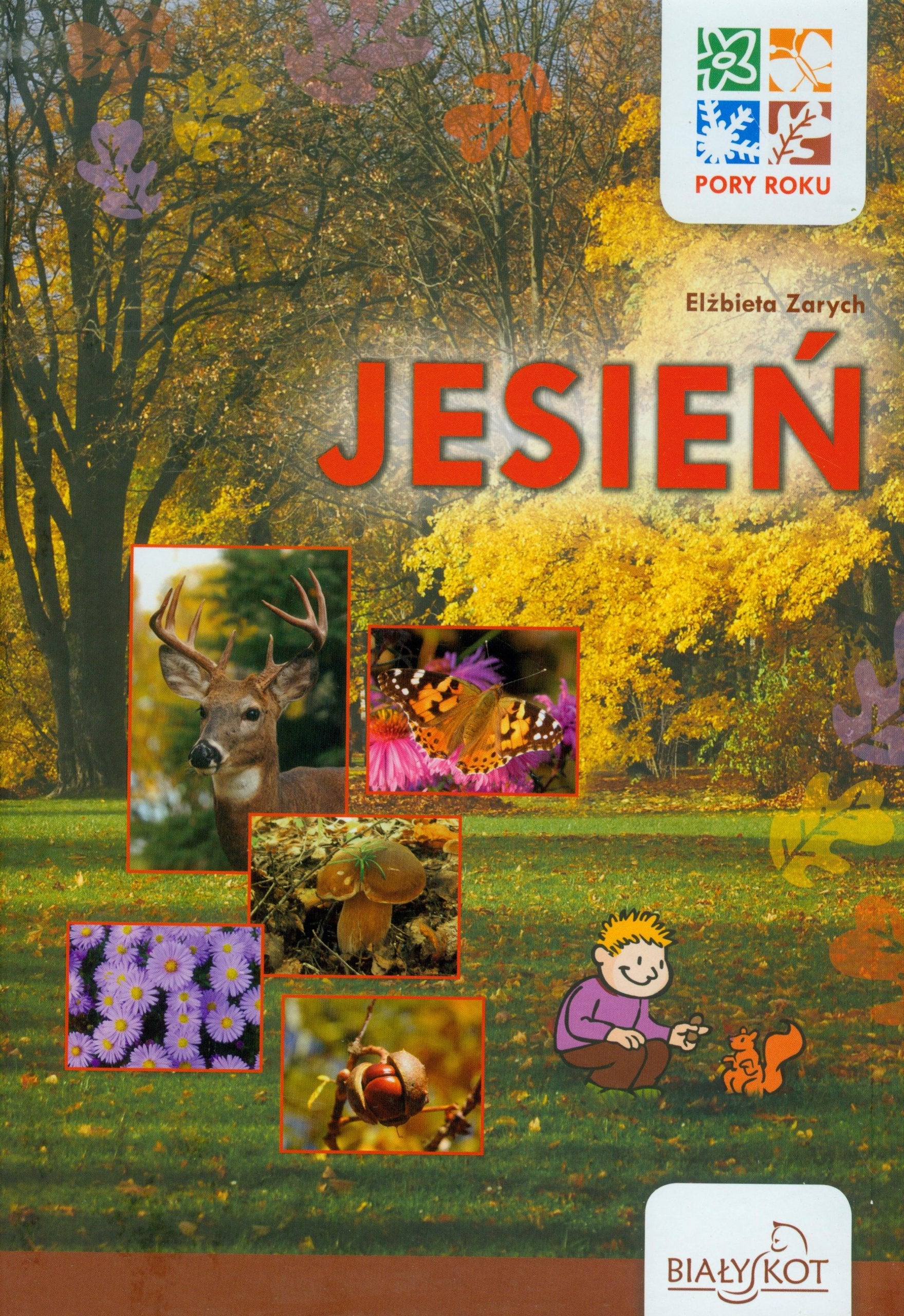 Pory roku Jesień Books