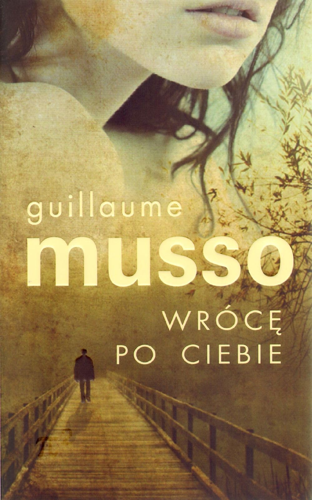 Wrócę po ciebie Books