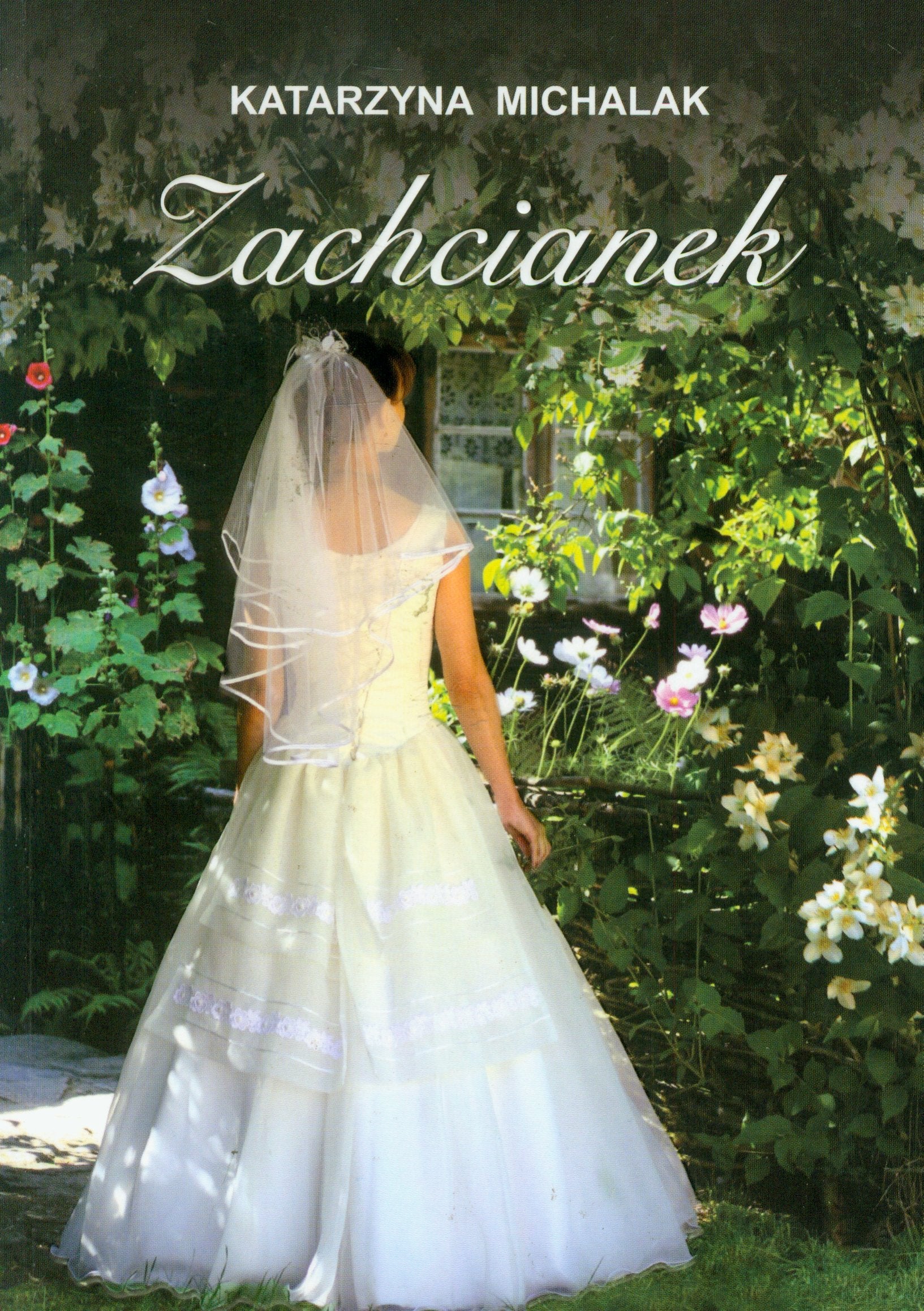 Zachcianek (SERIA POCZEKAJKOWA) Books