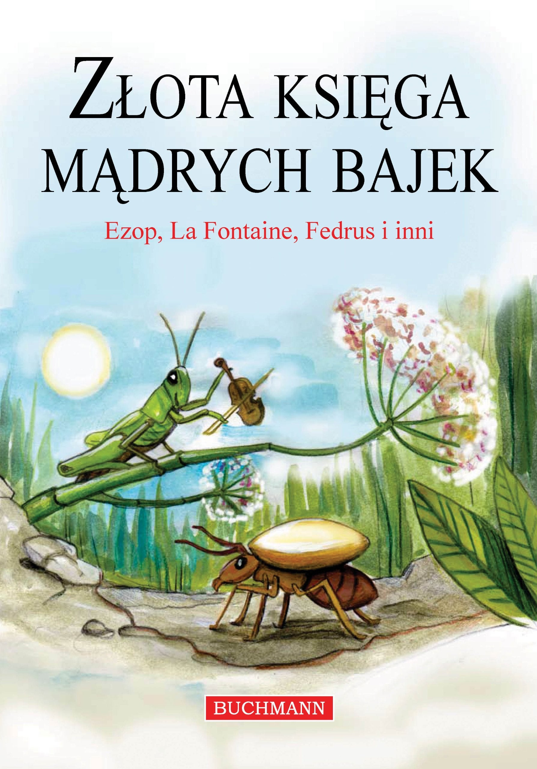 Złota księga mądrych bajek book