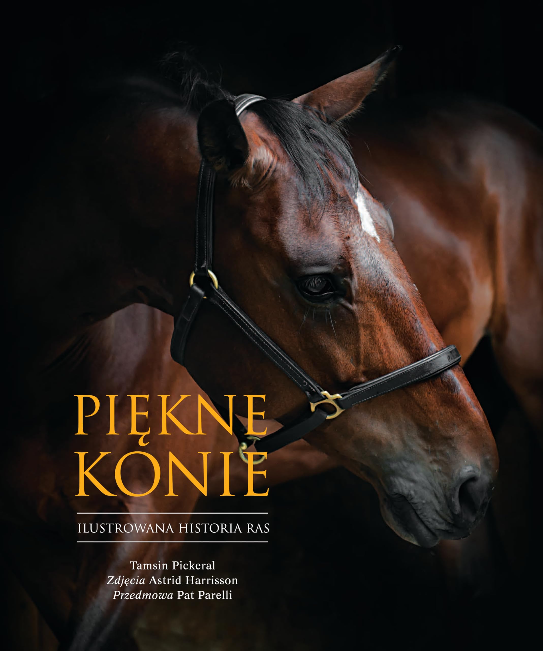 Piękne konie: Ilustrowana historia ras Books