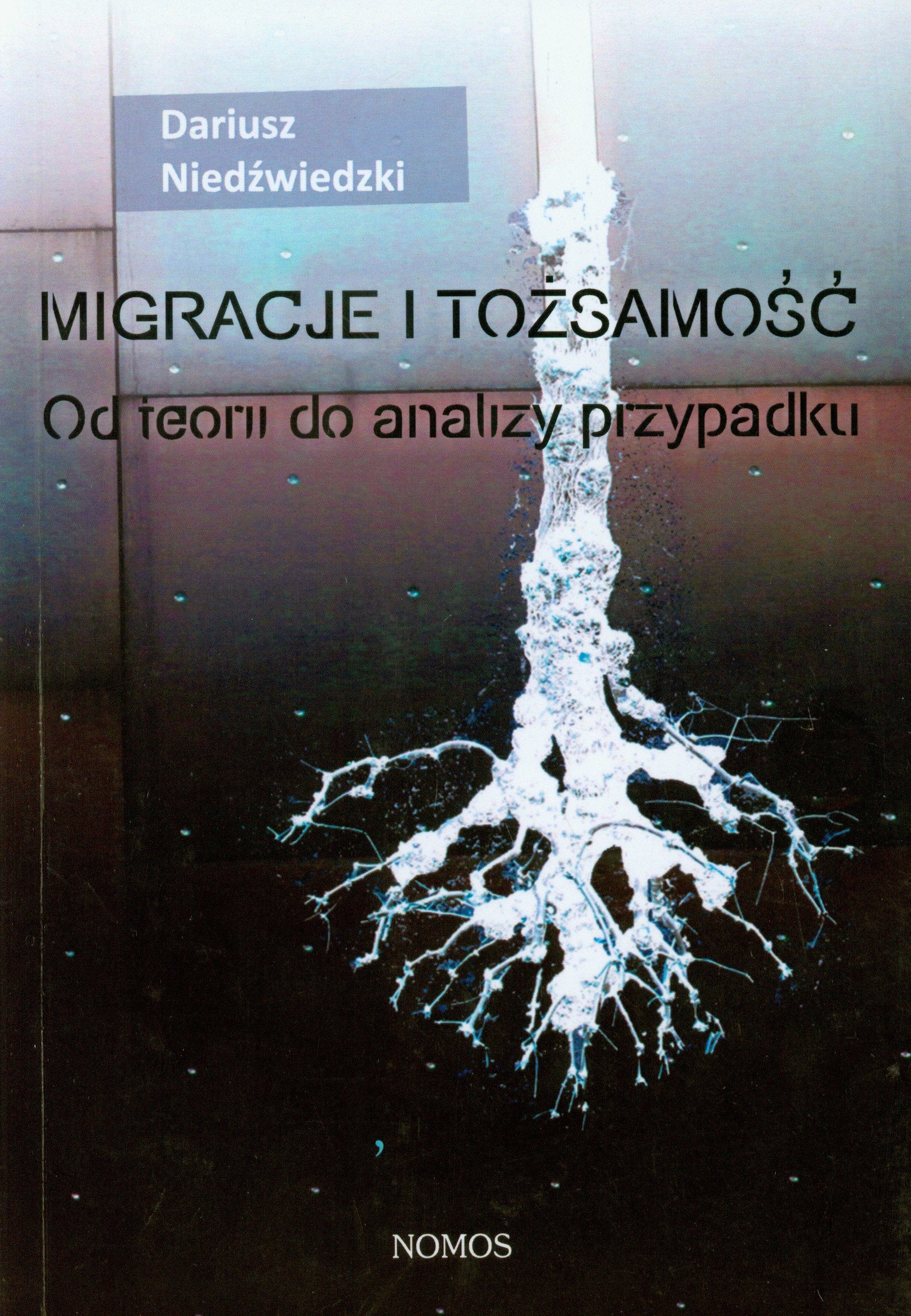 Migracje i tożsamość: Od teorii do analizy przypadku Books