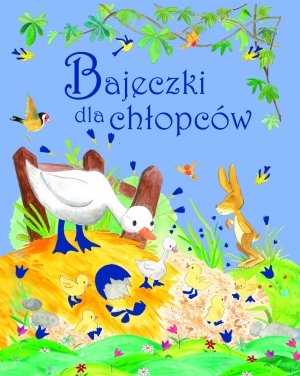Bajeczki Dla ChĹopcĂlw book