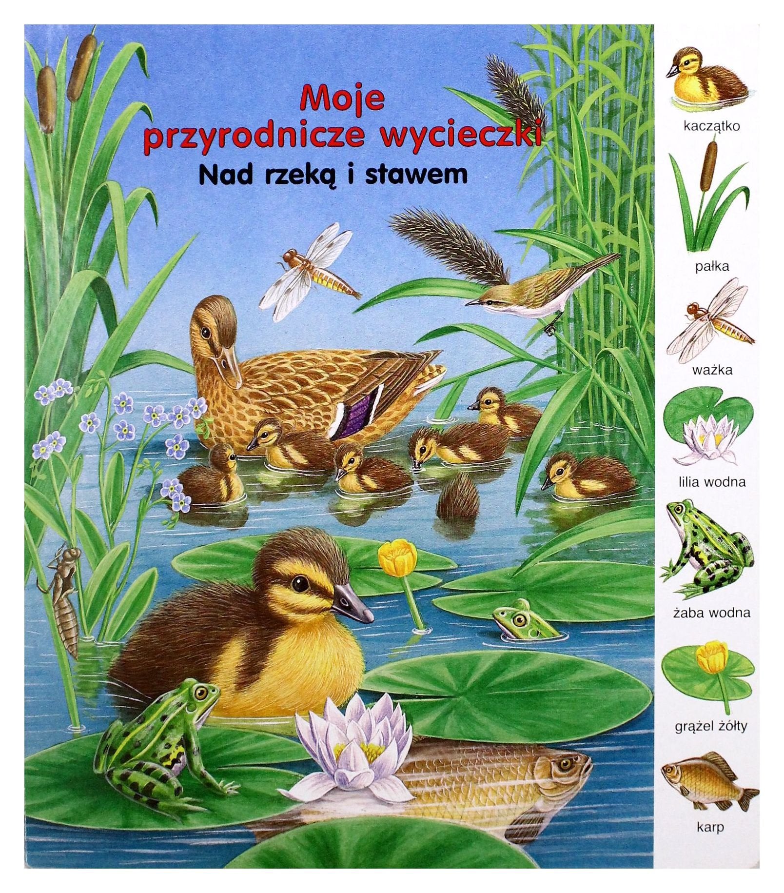 Nad rzeka i stawem. Moje przyrodnicze wycieczki Books
