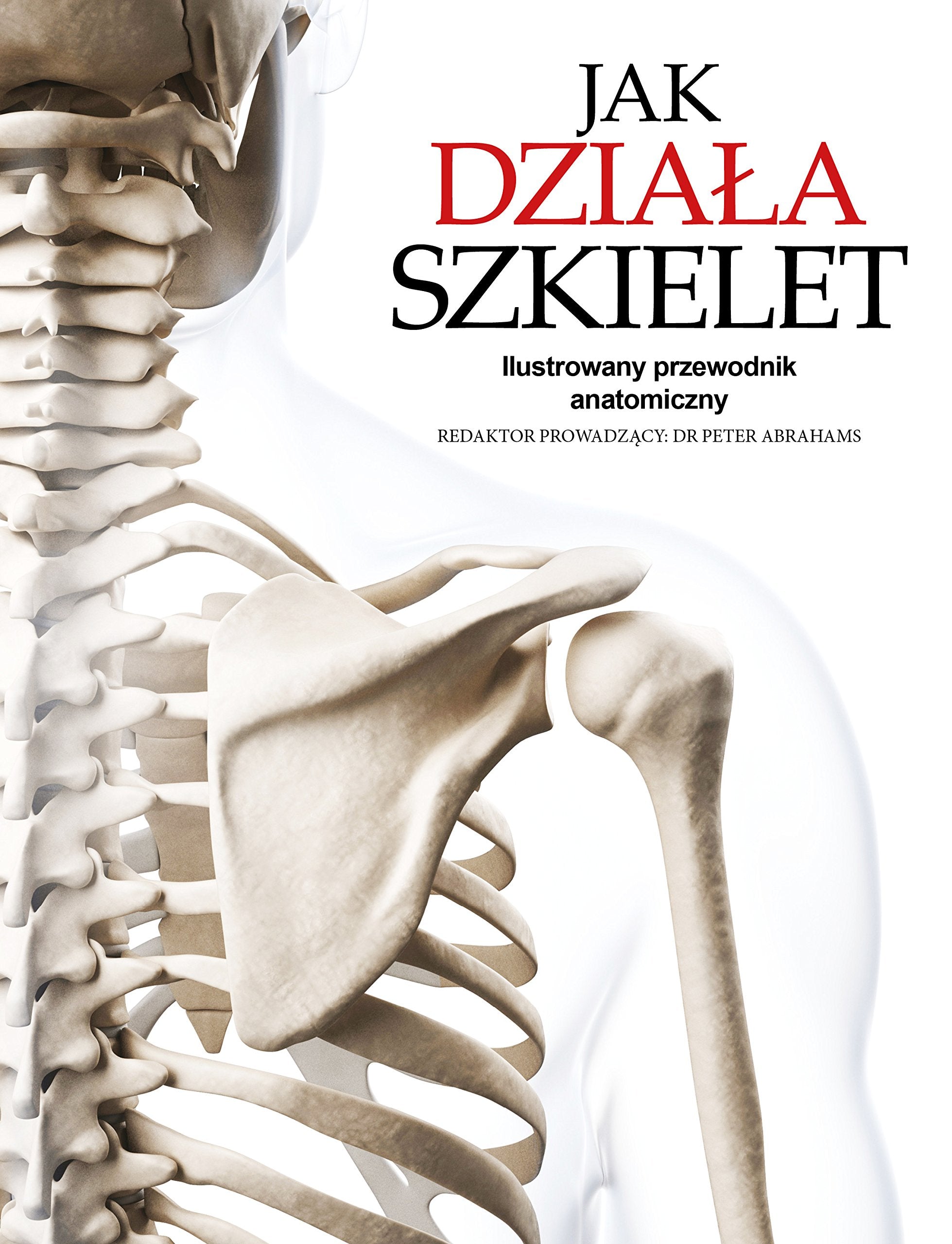 Jak działa szkielet: Ilustrowany przewodnik anatomiczny Books
