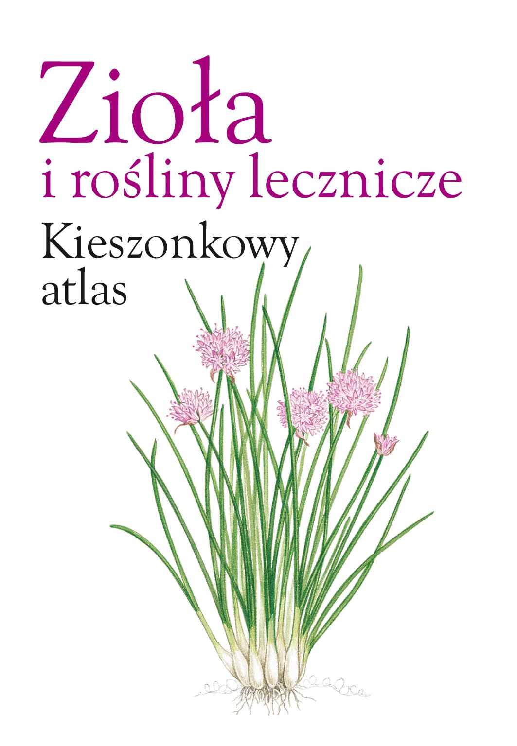 Zioła i rośliny lecznicze Kieszonkowy atlas Books