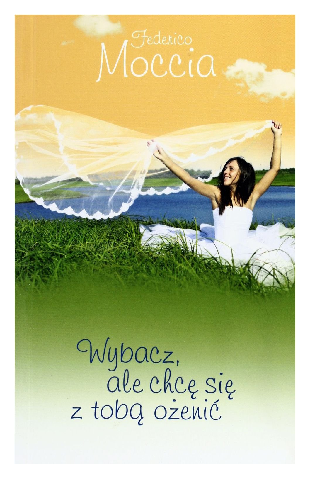 Wybacz ale chcę się z tobą ożenić book