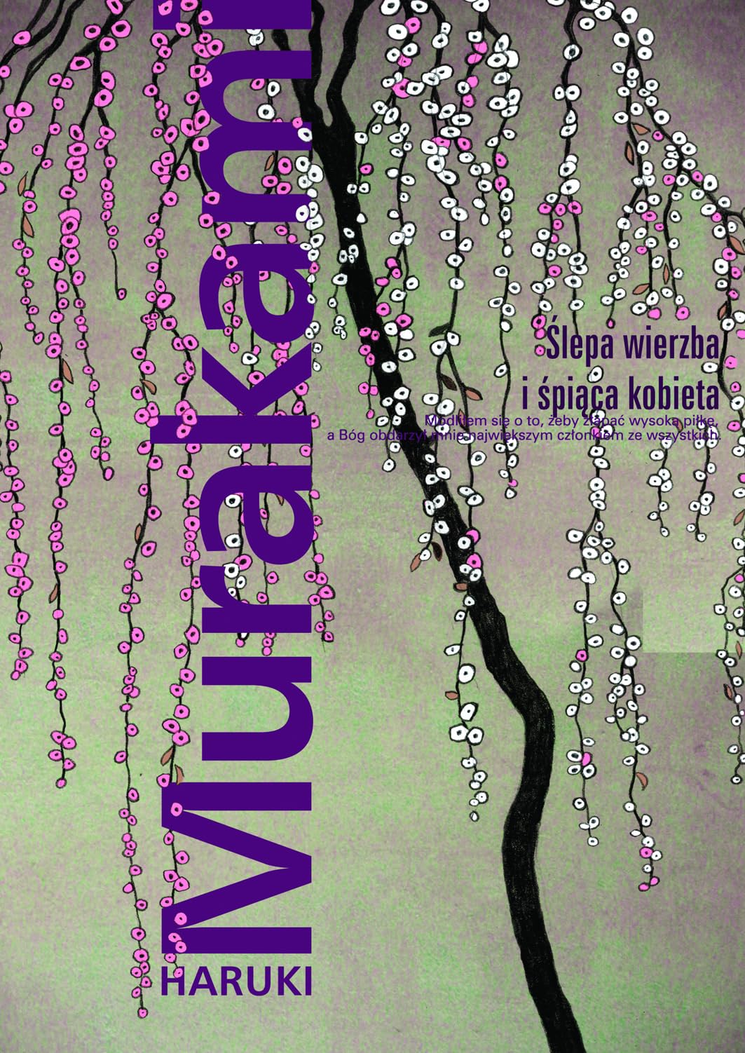 Slepa wierzba i spiaca kobieta book