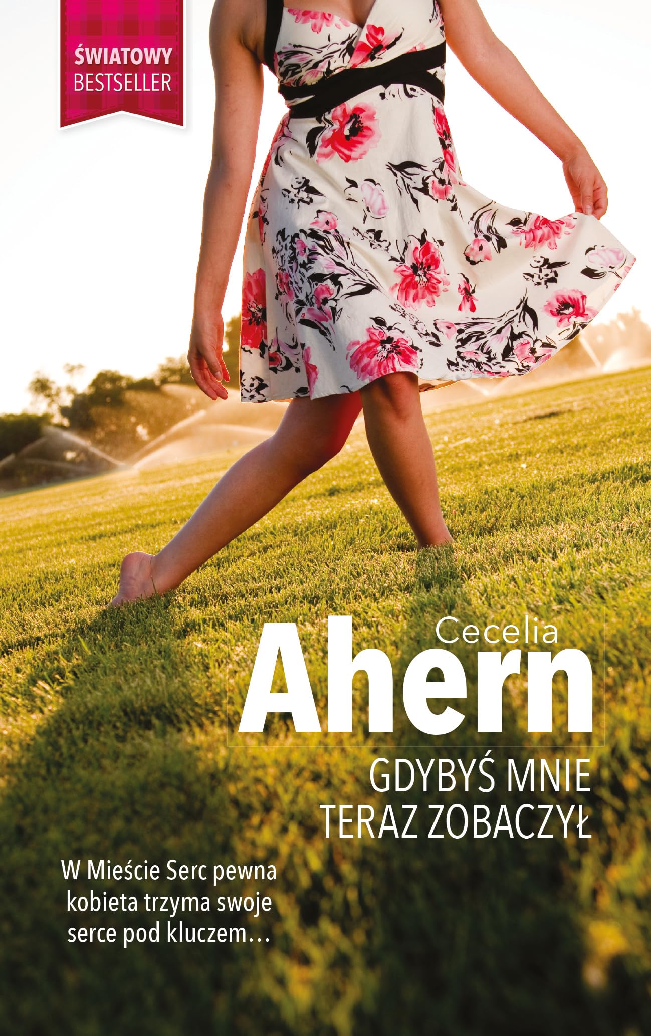 Gdybyś mnie teraz zobaczył Books