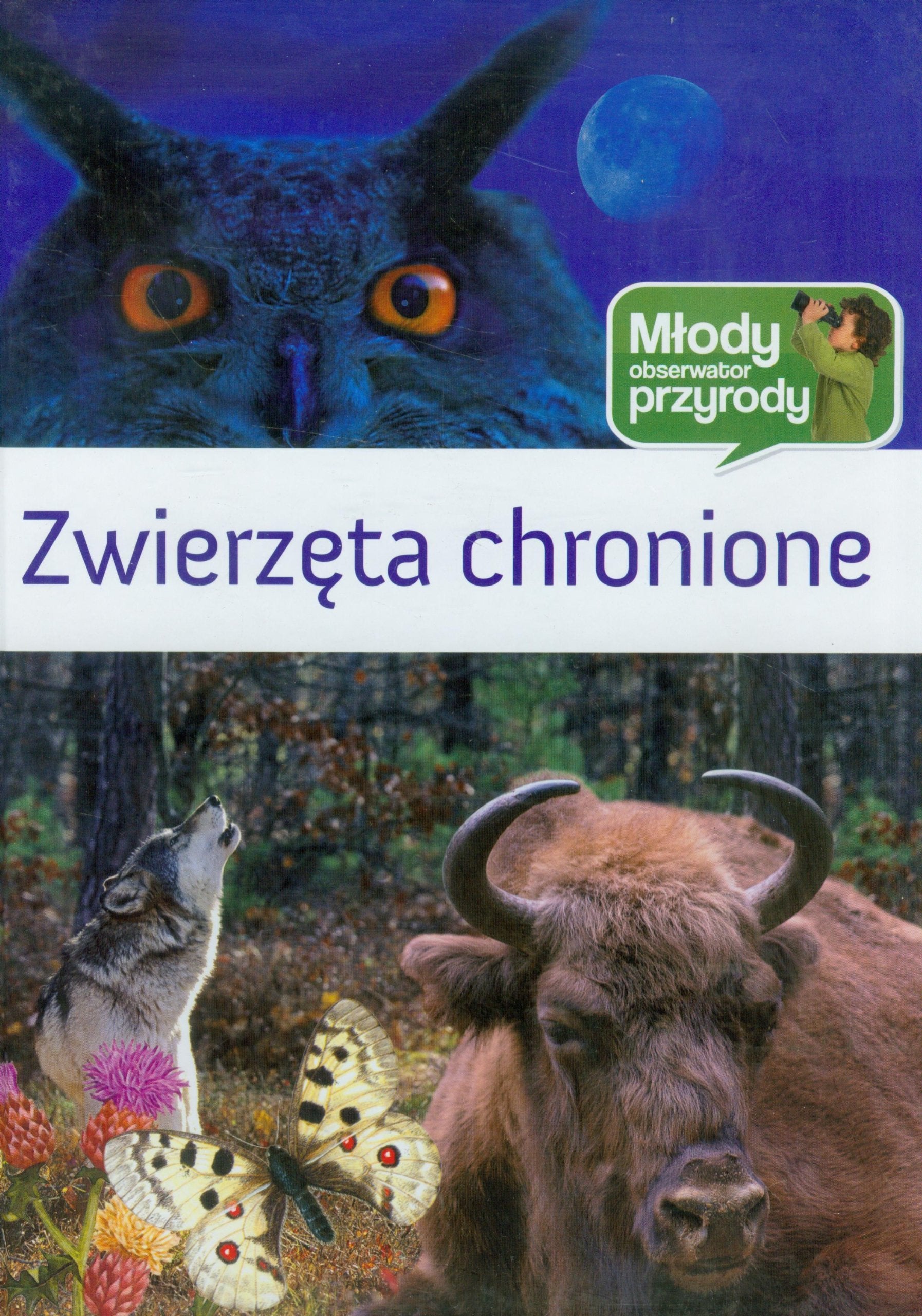 Zwierzeta chronione Mlody Obserwator Przyrody book