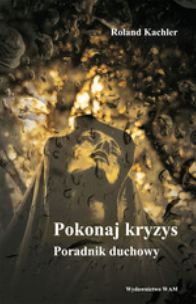 Kachler, R: Pokonaj kryzys Business, Finance & Career
