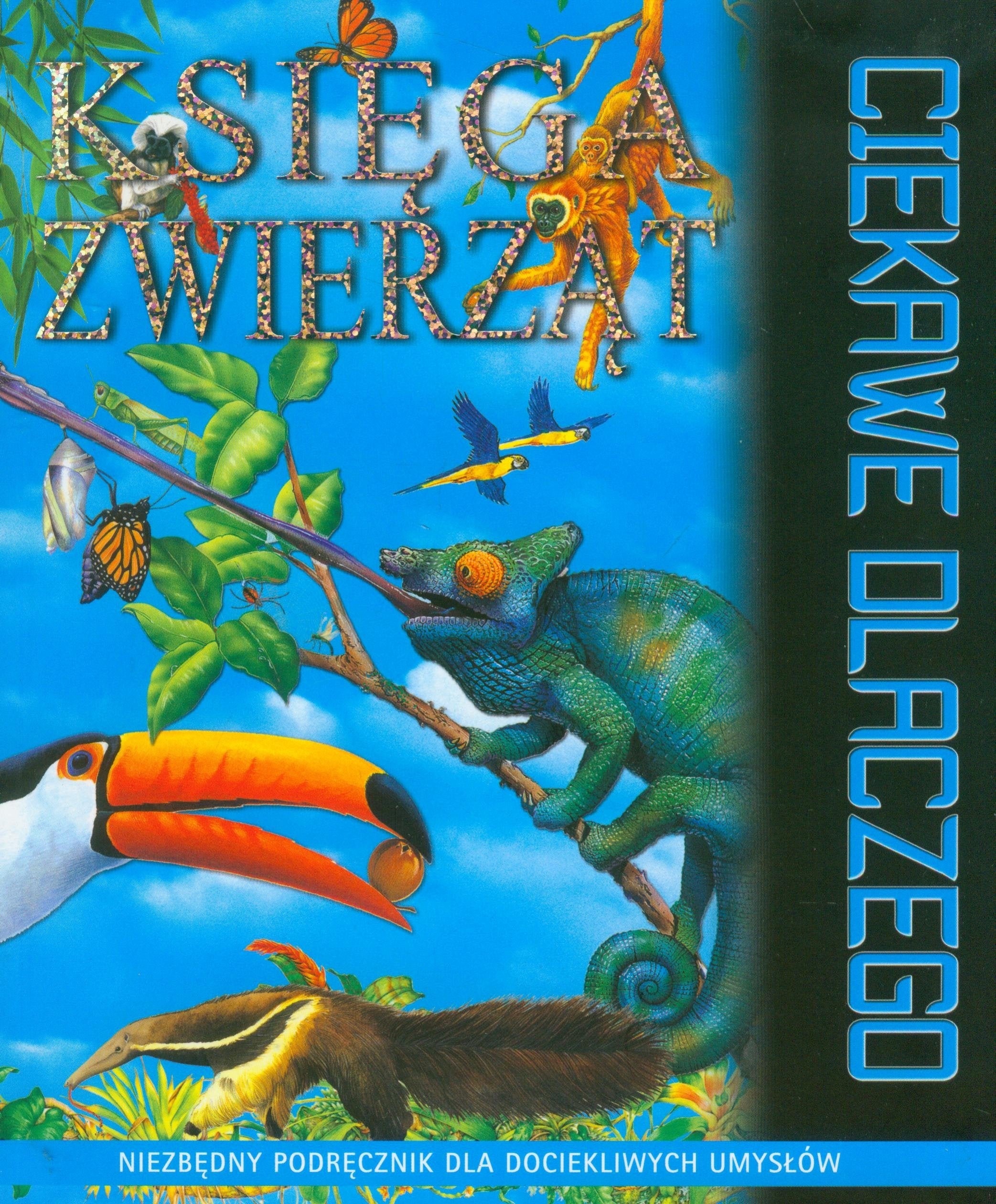 Ciekawe dlaczego Księga zwierząt book