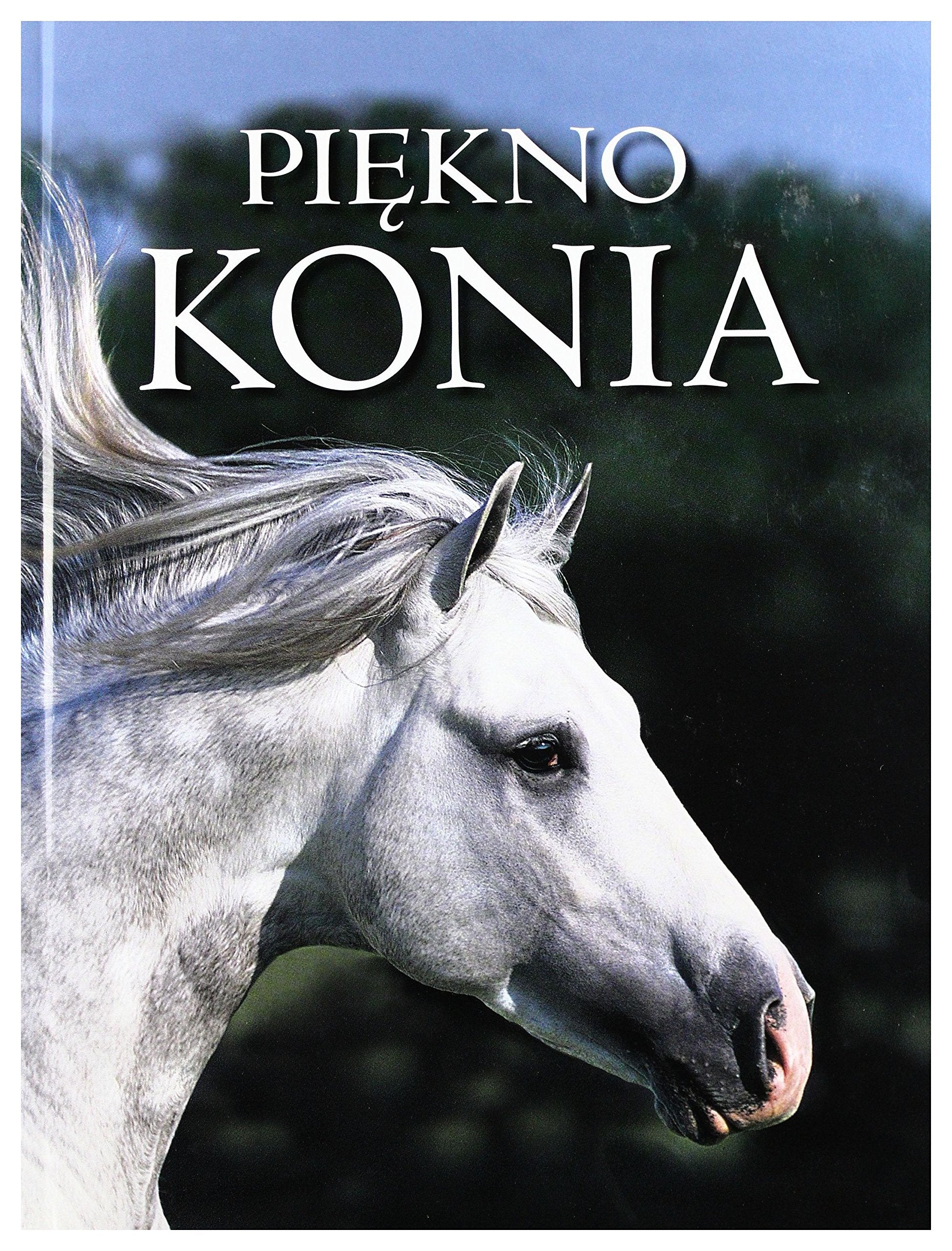 PiÄkno konia - Nicola Jane Swinney book
