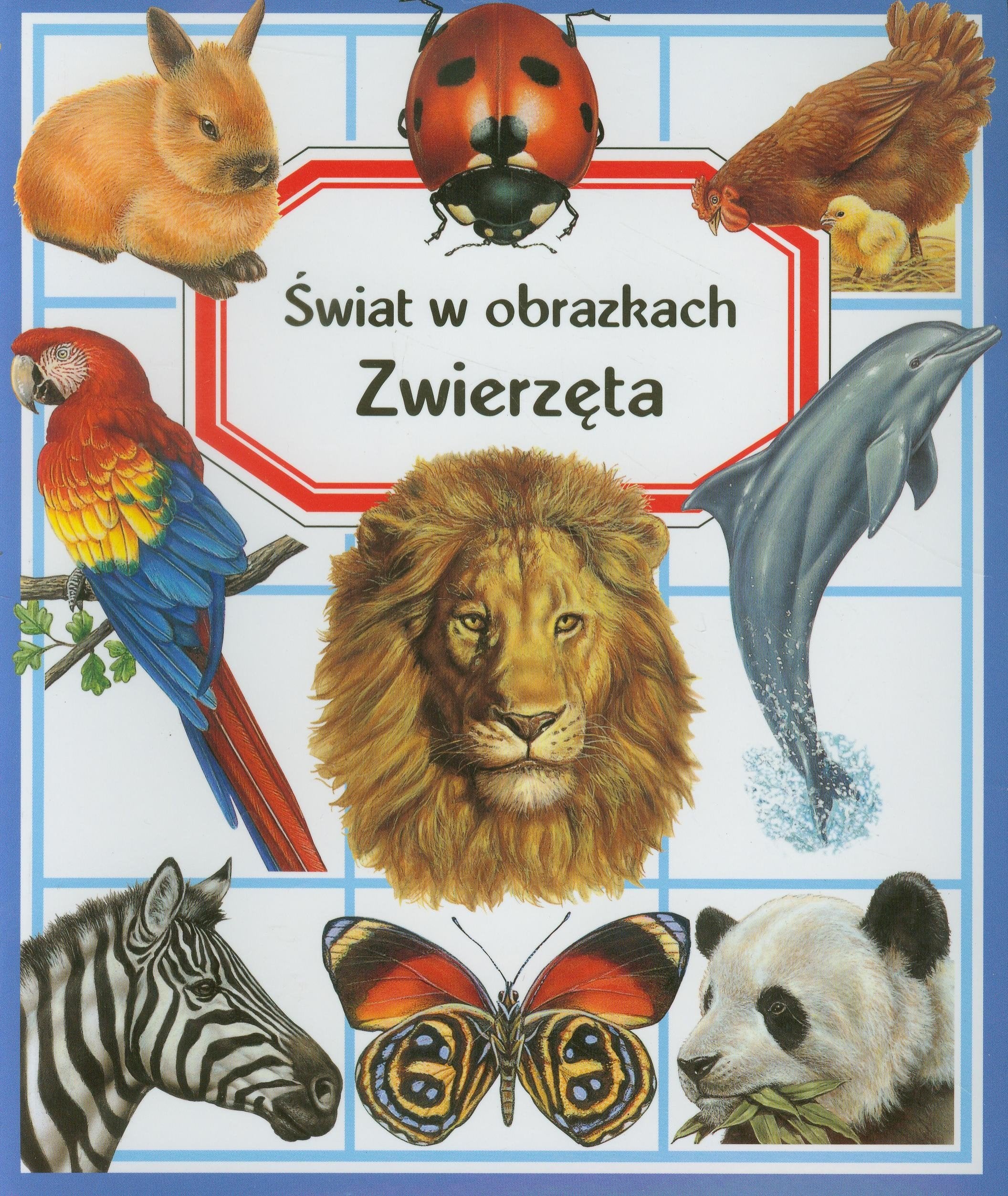 Zwierzęta Świat w obrazkach Books