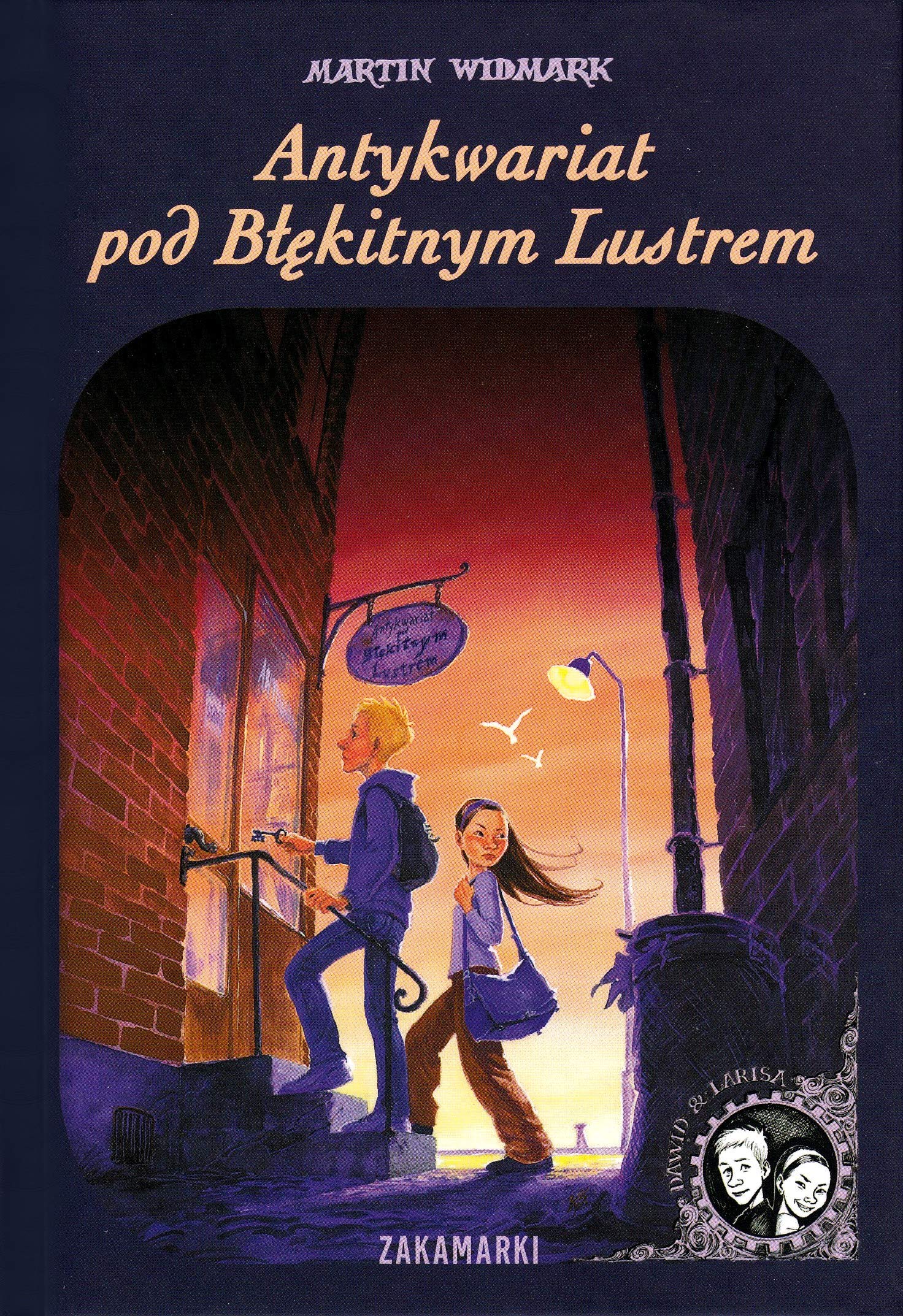 Antykwariat pod Blekitnym Lustrem book