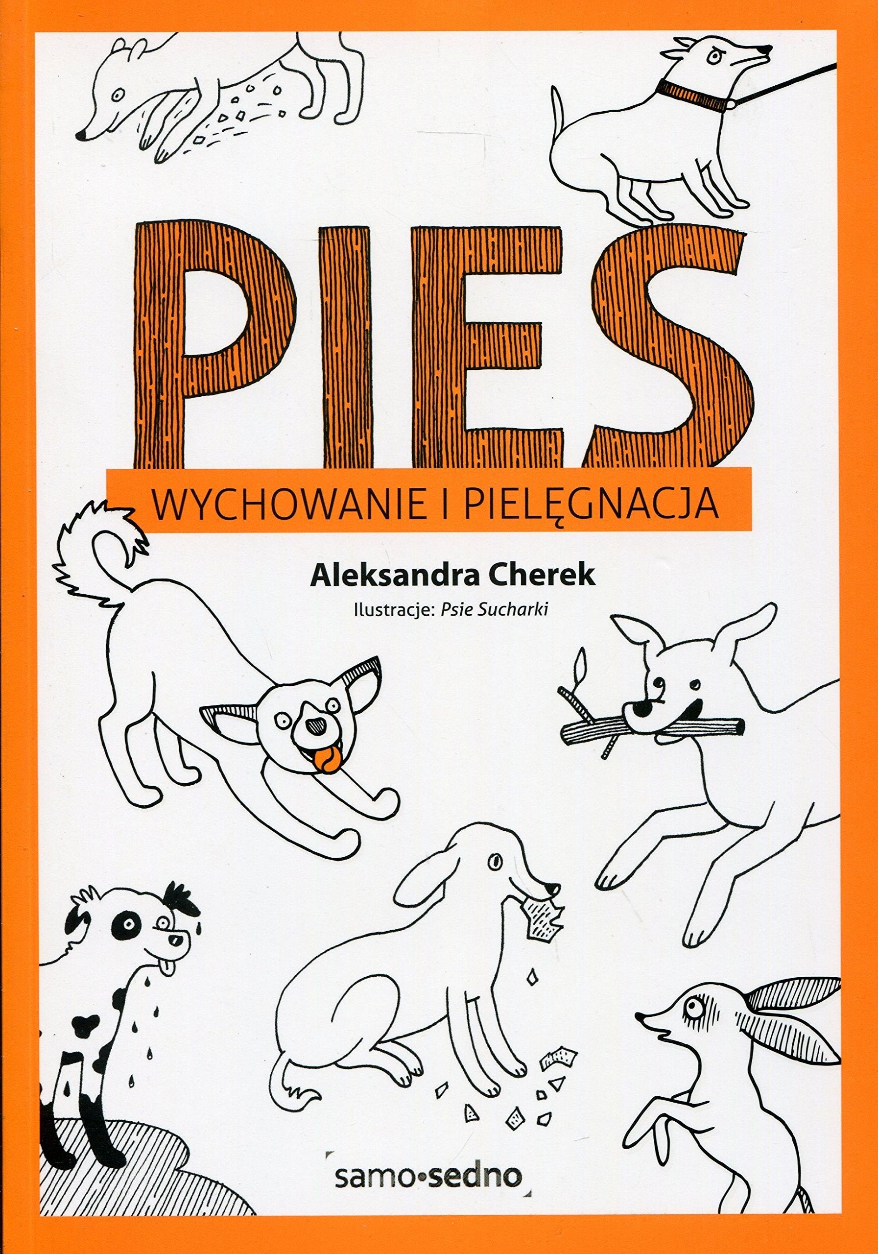 Pies Wychowanie i pielegnacja Pets