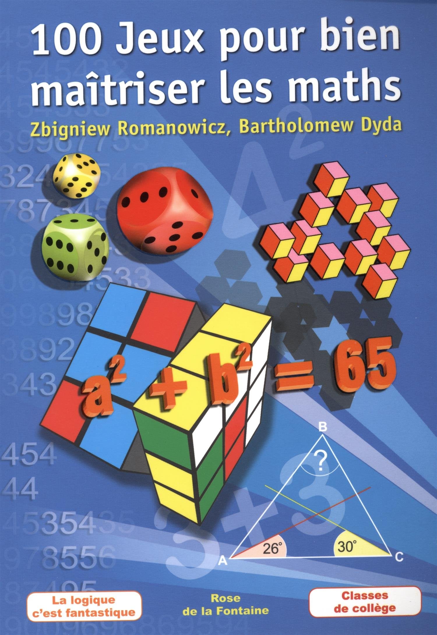 100 jeux pour bien maîtriser les maths book