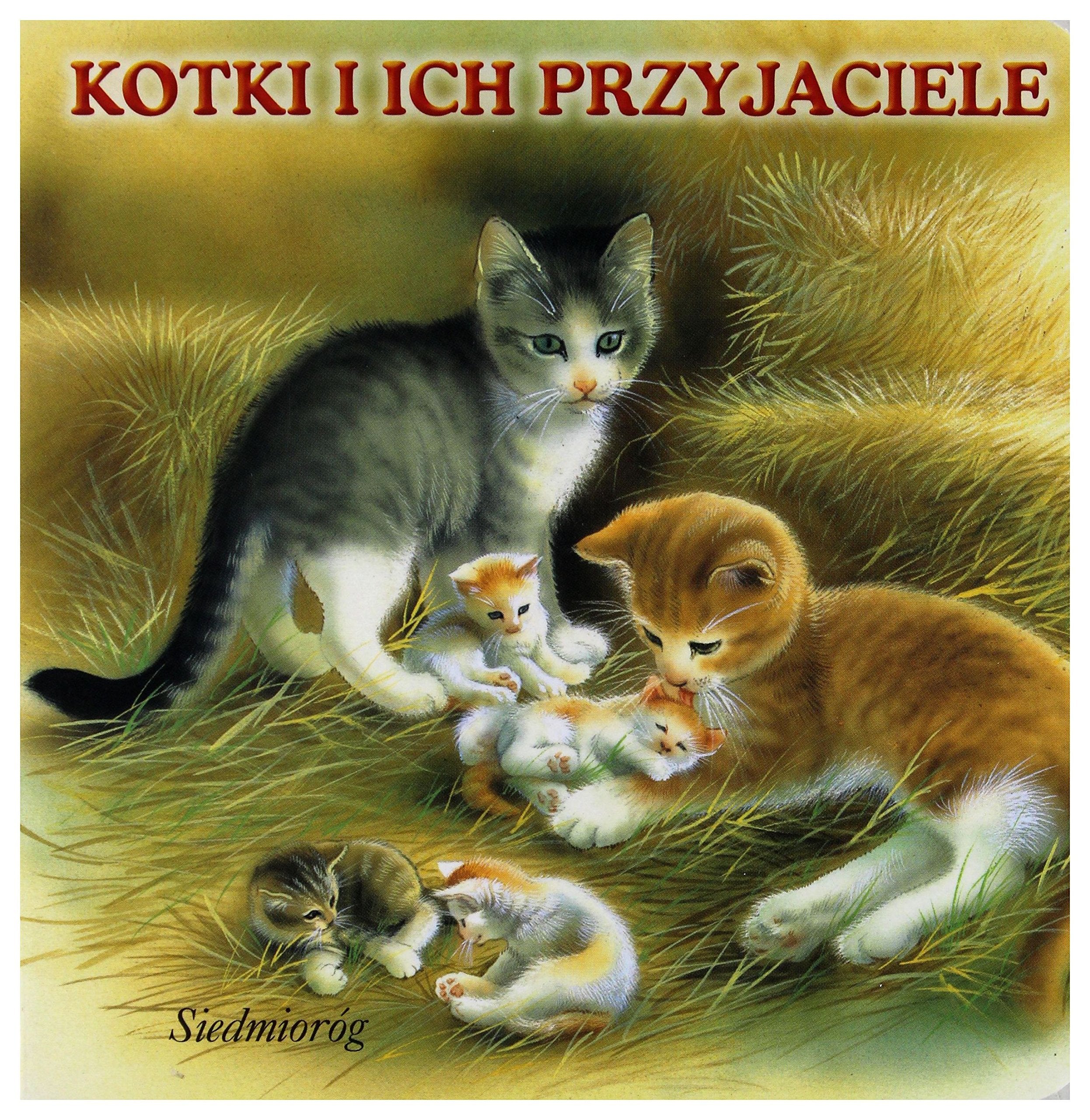 Kotki i ich przyjaciele (WESOŁE KSIĄŻECZKI) Books