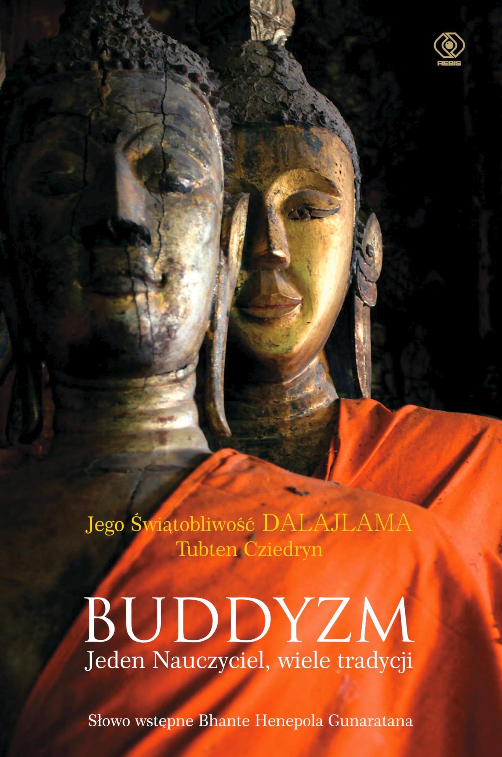 Buddyzm Jeden nauczyciel, wiele tradycji book