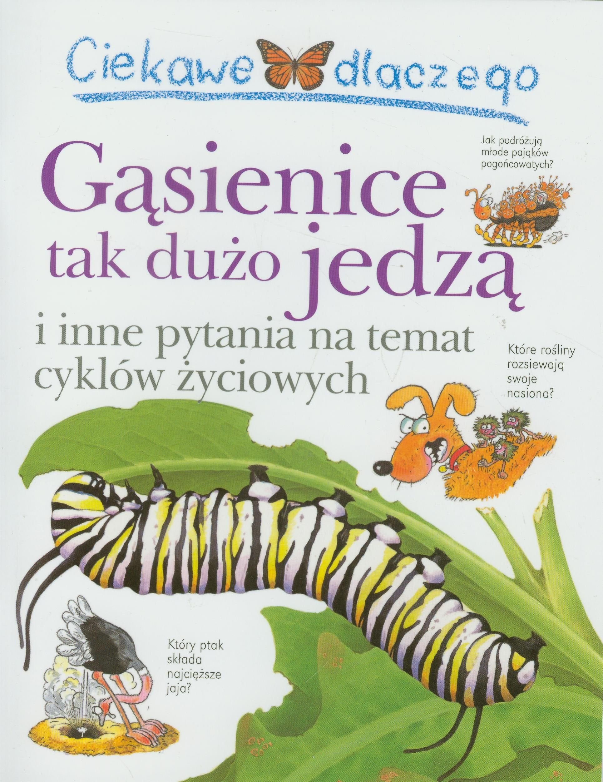 Ciekawe dlaczego Gąsienice tak dużo jedzą: i inne pytania na temat cyklów życiowych Books