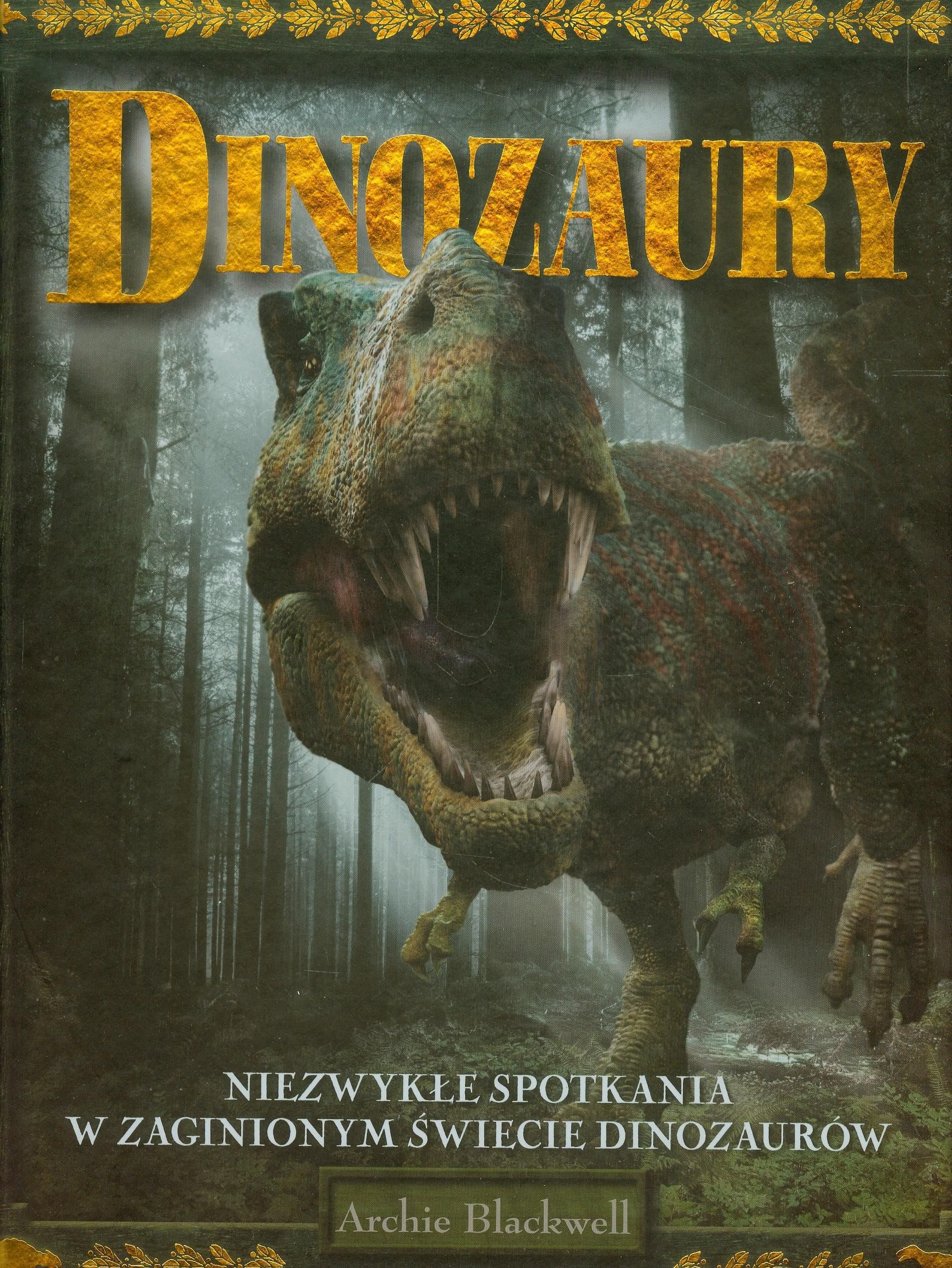 Dinozaury Niezwykłe spotkania w zaginionym świecie dinozaurów Books