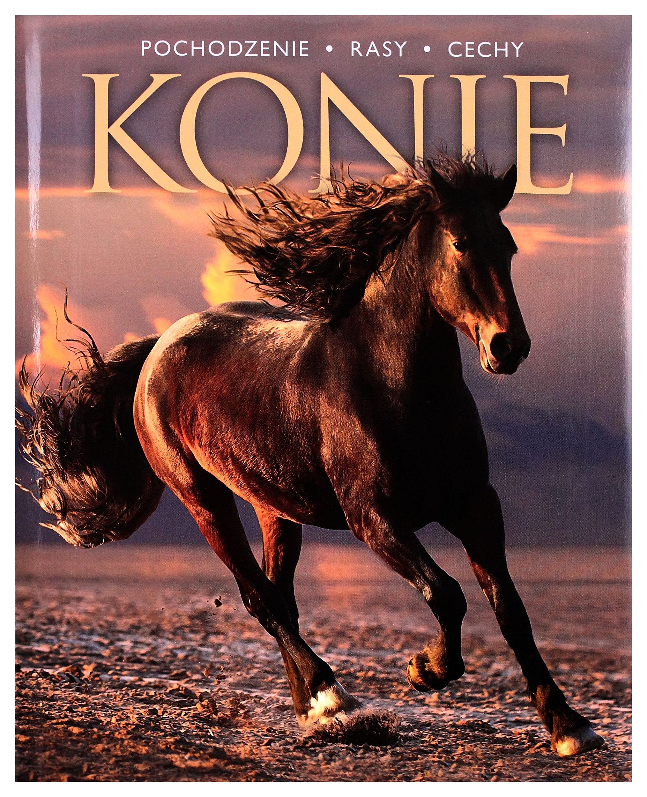 Konie: Pochodzenie, rasy, cechy Books