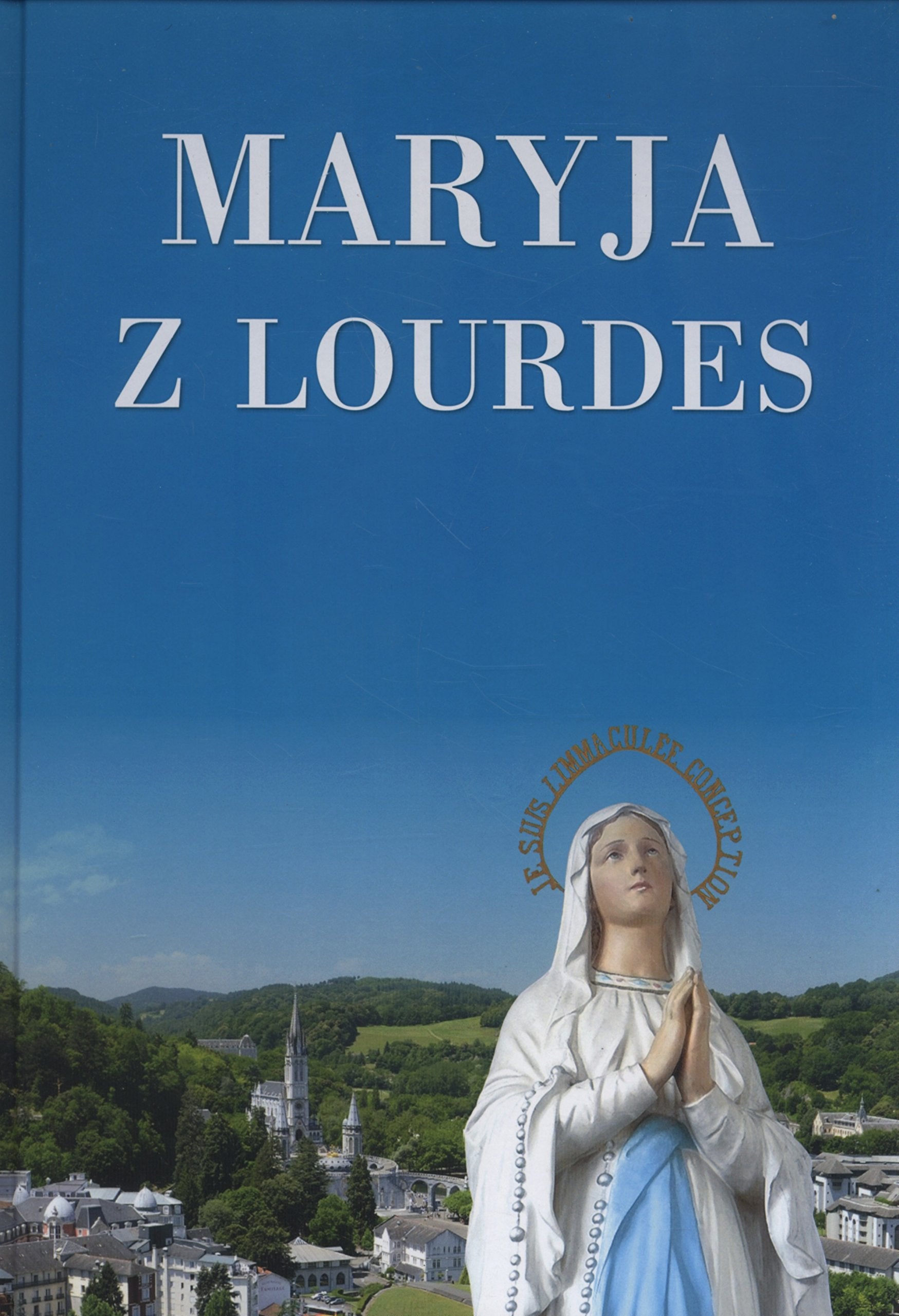 Maryja z Lourdes Politics & Society