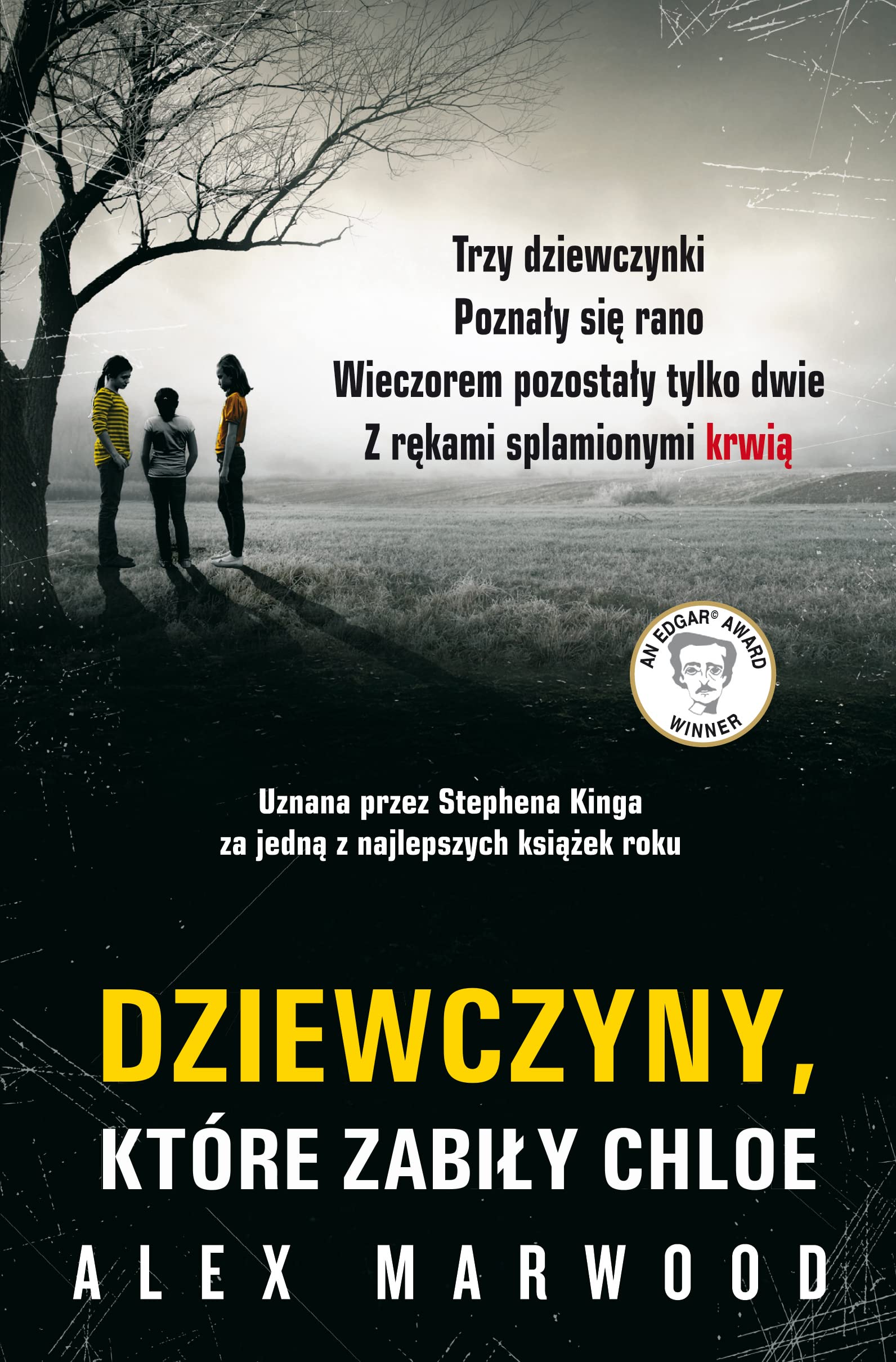 Dziewczyny, ktore zabily Chloe book