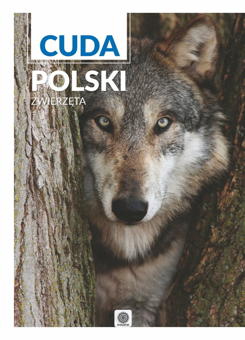 Cuda Polski Zwierzęta book