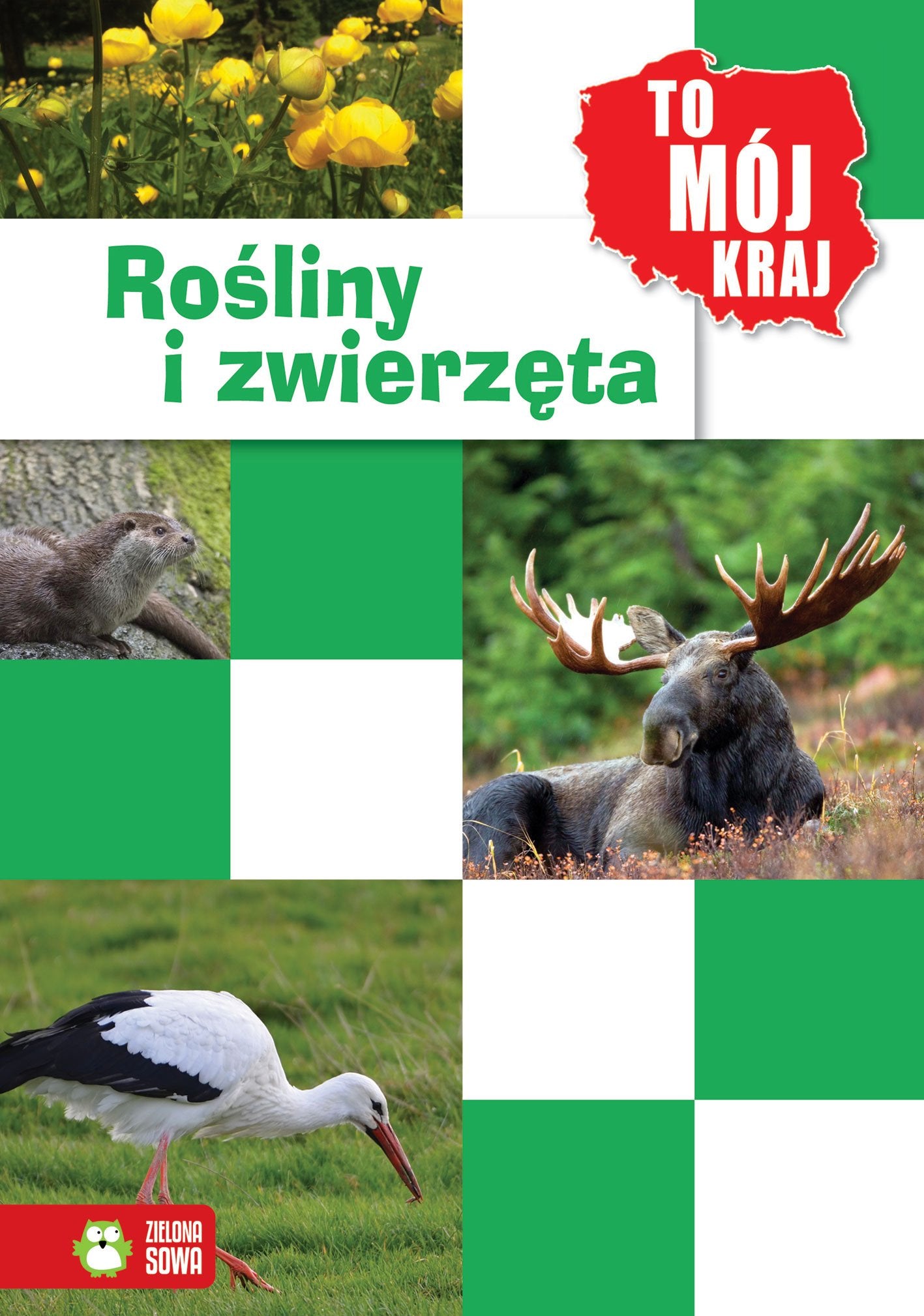 To mój kraj Zwierzęta i rośliny Books